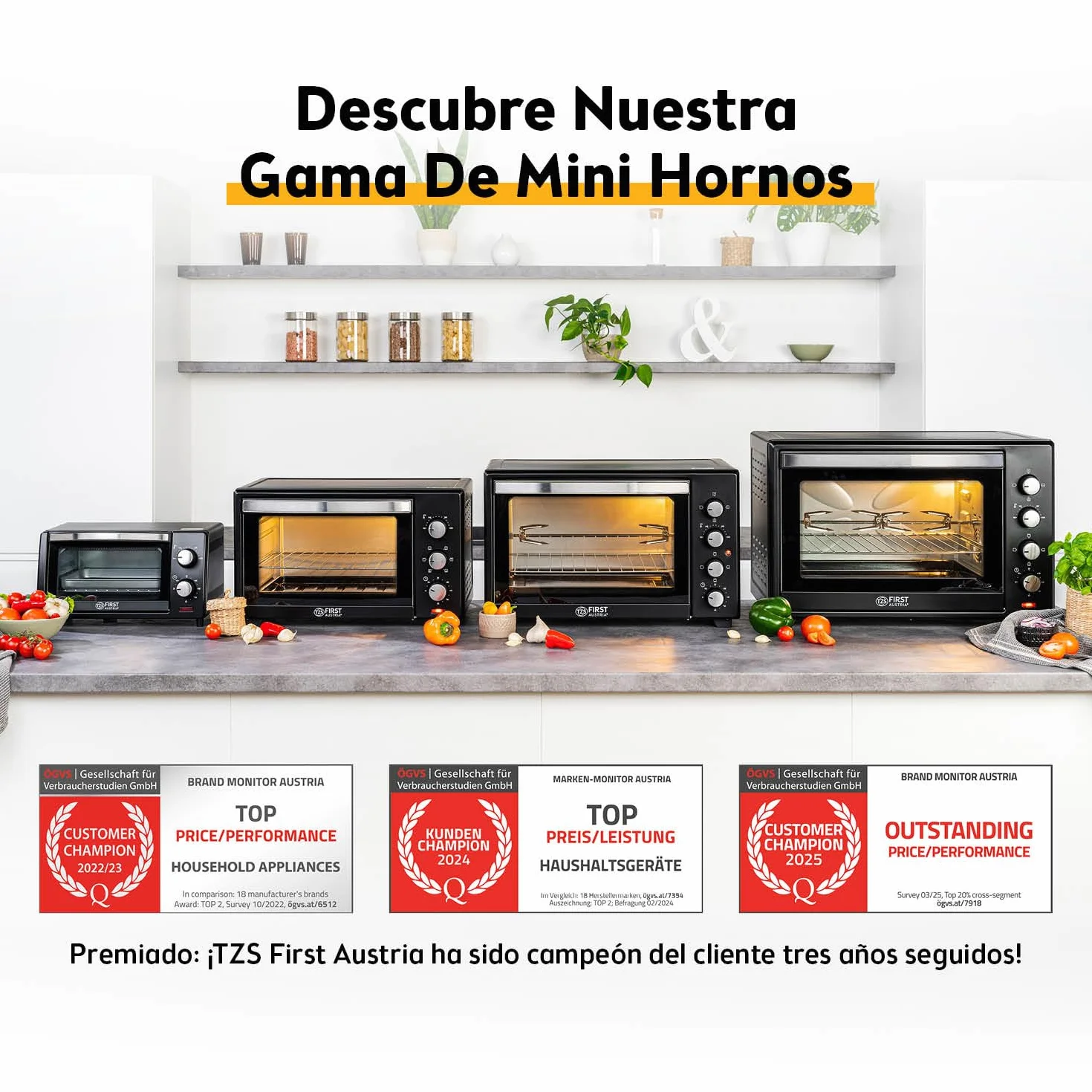 TZS First Austria - Mini Horno 10L 800W - Minihorno con regulación de temperatura hasta 230°C - Con temporizador de 60 min, 2 alturas de inserción, bandeja y parrilla - Para cocinas pequeñas y camping