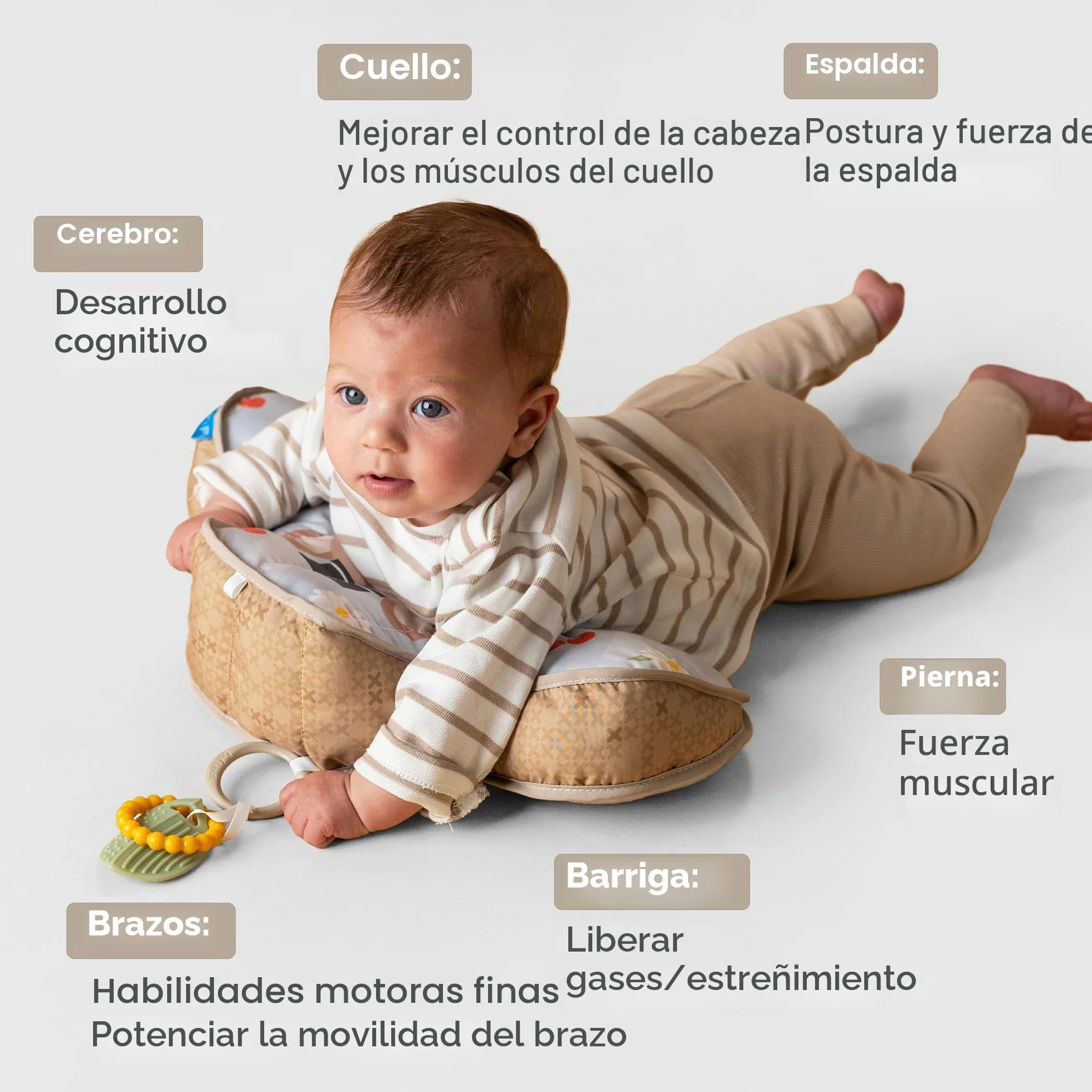 Cojín Tummy Time Bebé Oso 40 x 27 x 11 cm con 2 Juguetes extraíbles
