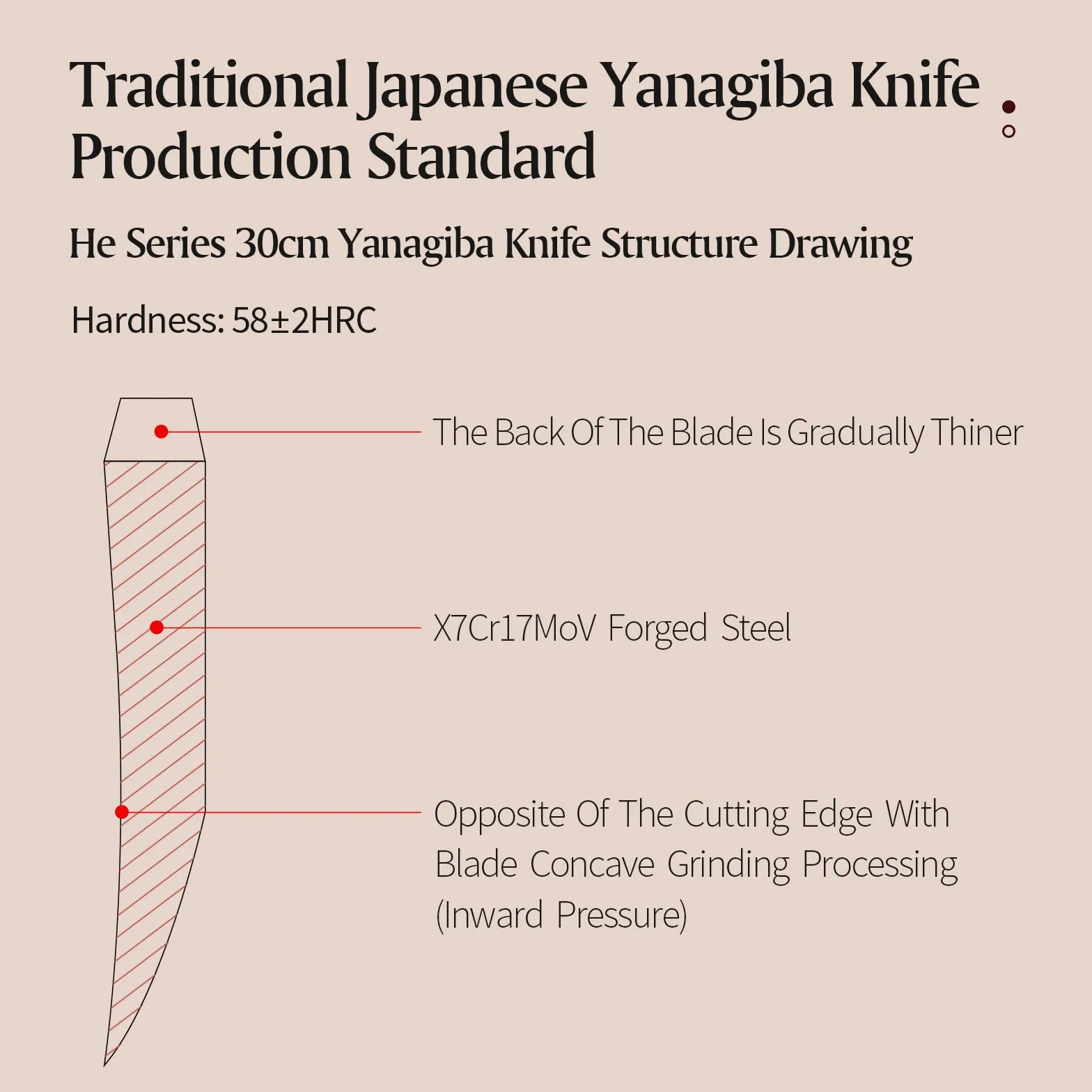 XINZUO 30cm Sashimi Cuchillo de Acero Inoxidable X7Cr17MoV, Yanagiba Tradicional Japonés con Hoja de un Solo Filo para Sushi, Mango de Madera de Ébano con Vaina