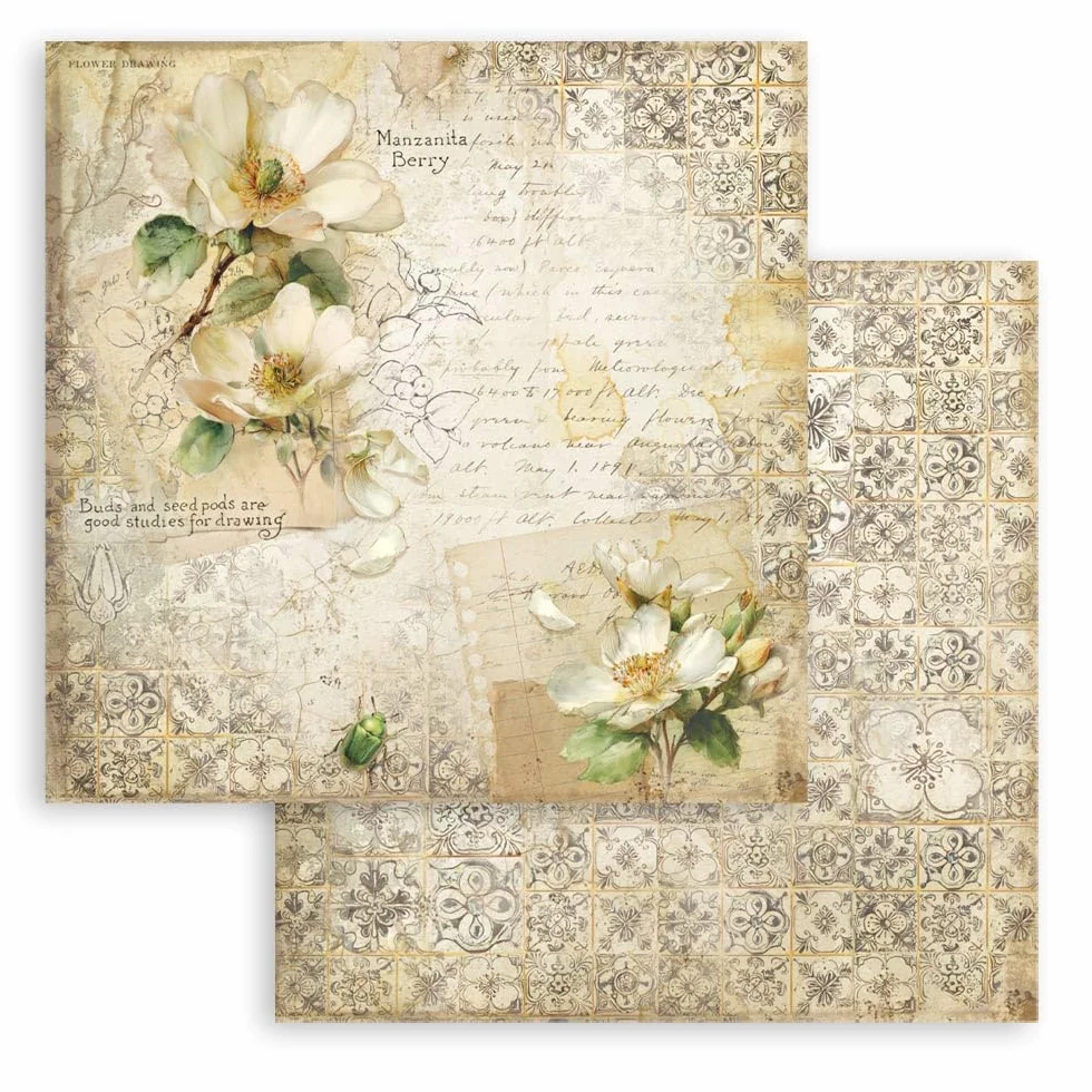 Stamperia - Scrapbook Paper Pad for Scrapbooks, Albums, Cards, Bullet Journals and More, Acid Free, Double-Sided, Perfect for Hobbies, Crafts, and Gifting (All Around) (20.3 x 20.3cm)
