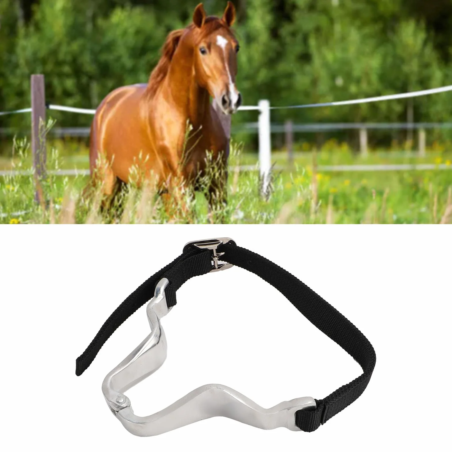 Clip para cinturón de cuello para caballo para entrenamiento