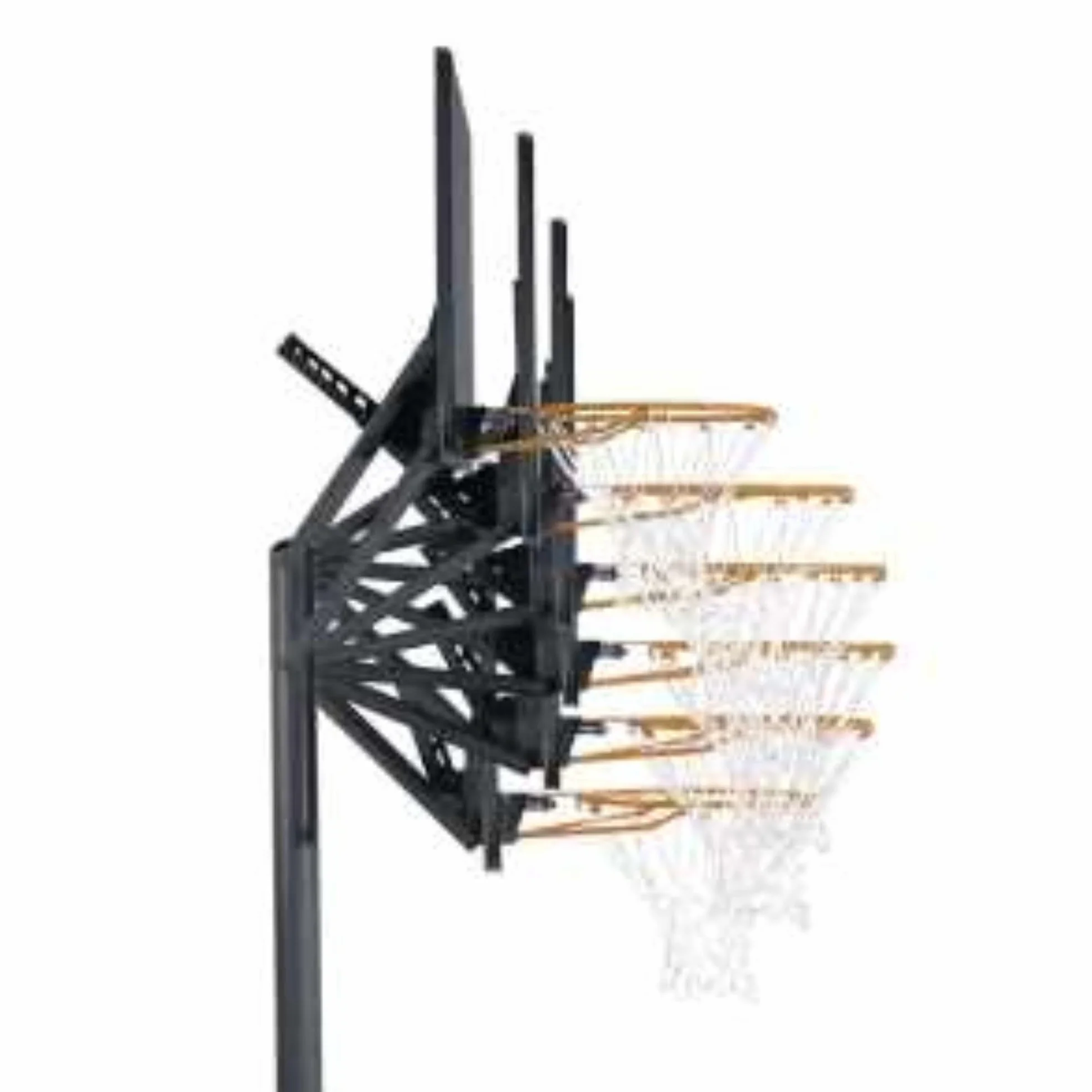 LIFETIME Canasta baloncesto regulable resistente