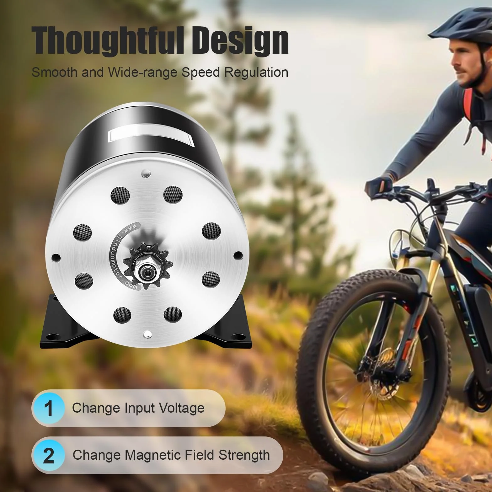 Motor eléctrico DC 36 V 1000 W 3000 rpm imán permanente para E-scooter