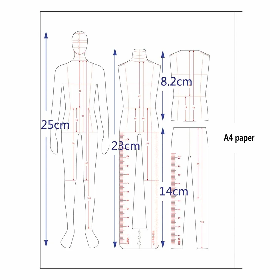 Curva Francesa Dinámica Humana de Acrílico de 3 Piezas Para Hombres Regla de Plantilla de Moda Ropa de Reglas de Clasificación de Patrones Medición de Herramientas de Costura Artesanales reglas de co