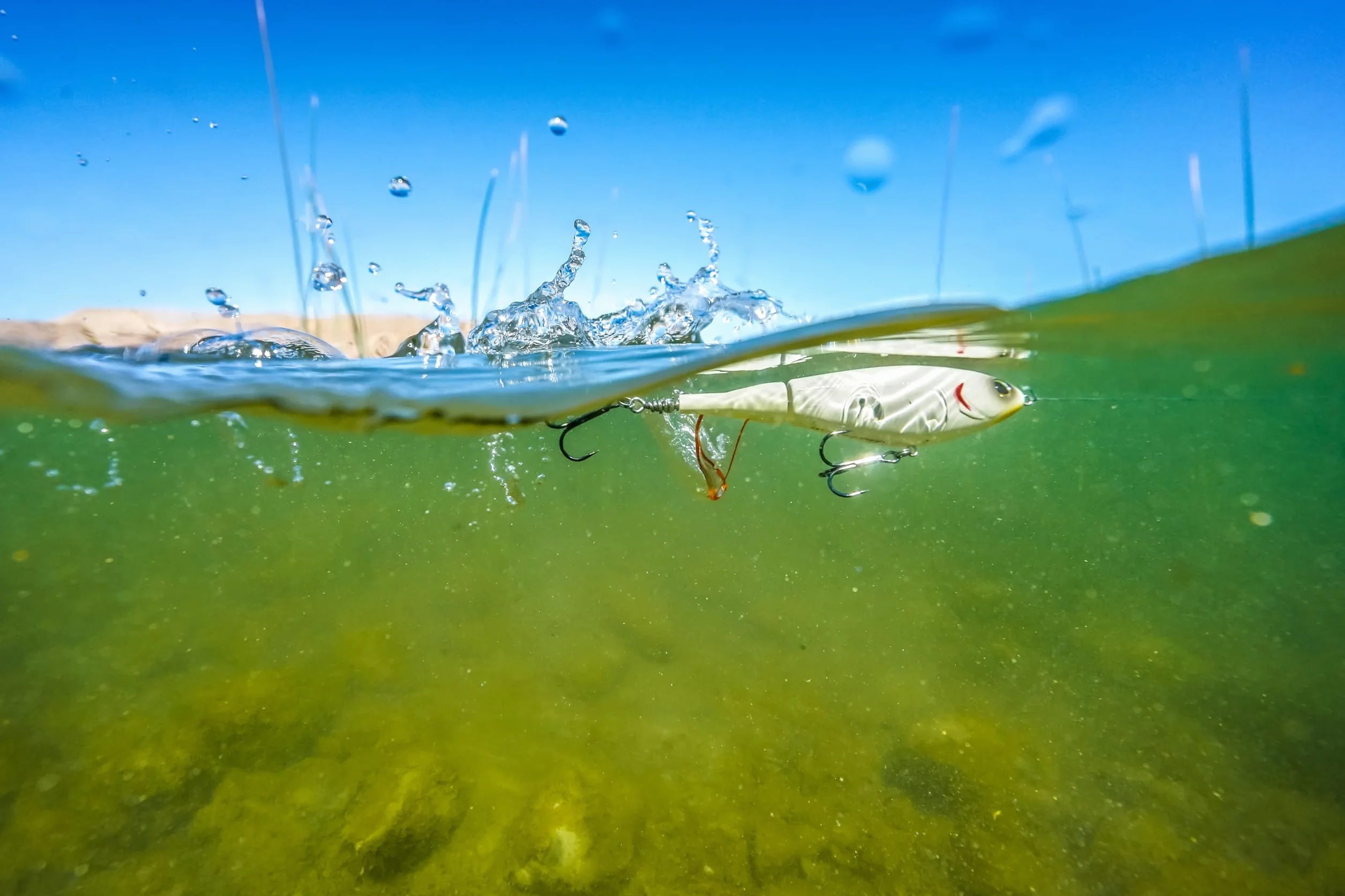 Berkley Choppo Hard Lure, Hueso