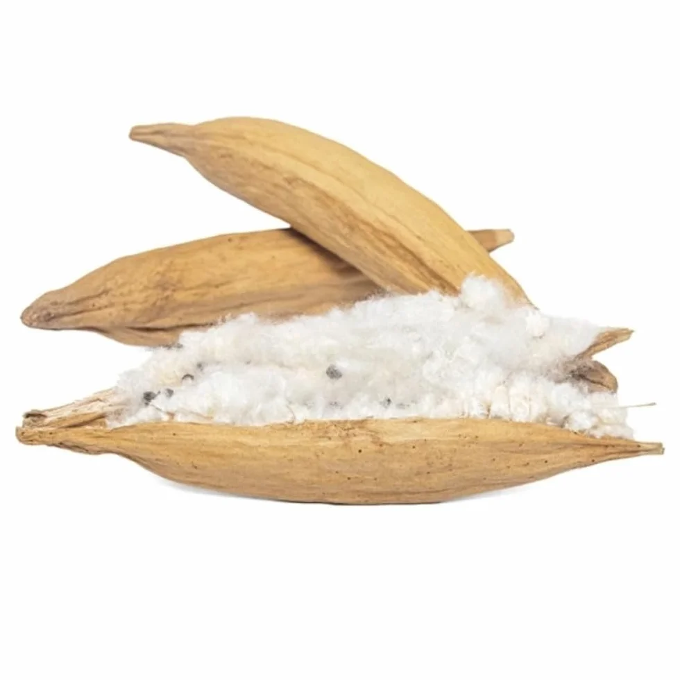 Kapok Fibra 1KG, Fibra de Kapok Natural para Yoga y cojín - Acolchado Natural Kapok