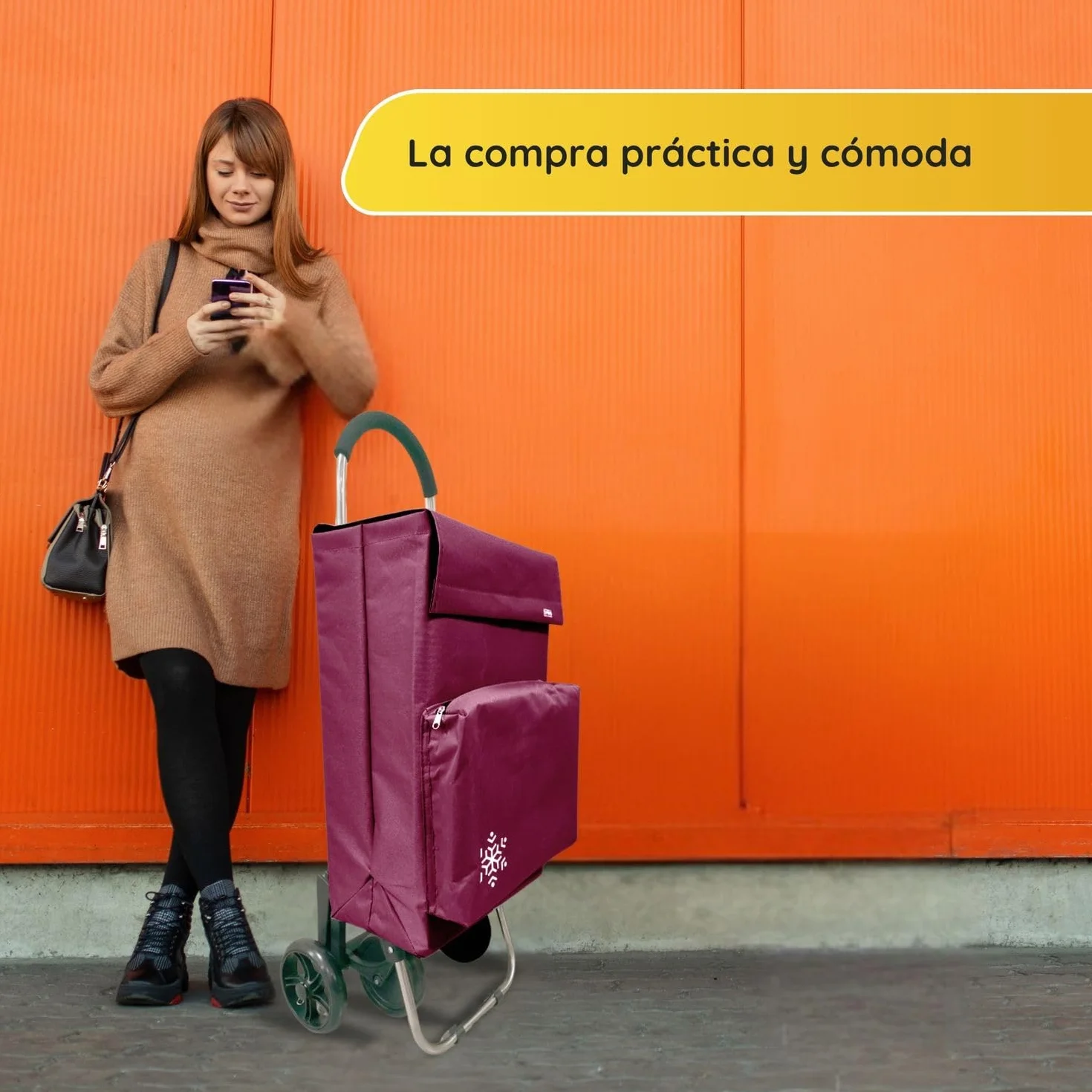 Carro de la Compra 50L con Compartimento Refrigerante y Gancho, 4+2 Ruedas Ideal Supermercado Granate