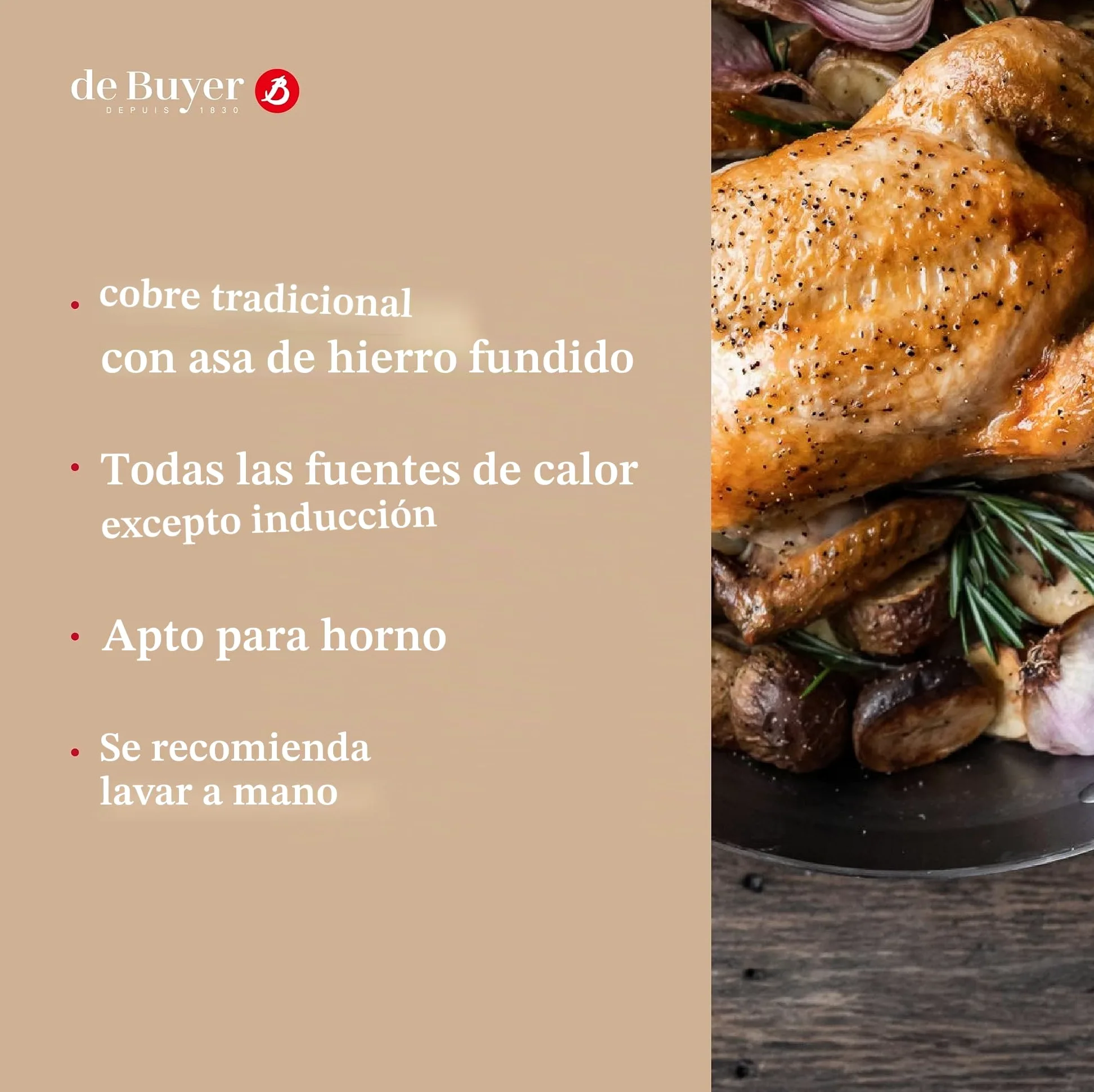 De Buyer, CAZO CON MANGO FUNDICION, INOCUIVRE , Ø 12 CM,-6460.12