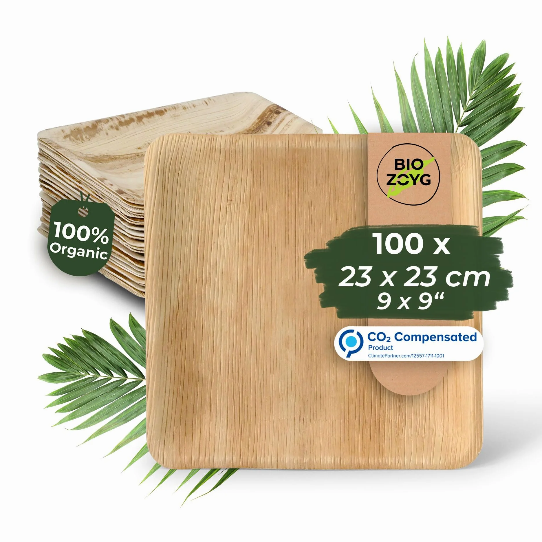 BIOZOYG 100x de platos de hoja de palma 23 x 23 cm - Platos desechables compostables y naturales - Vajilla de fiesta cuadrada
