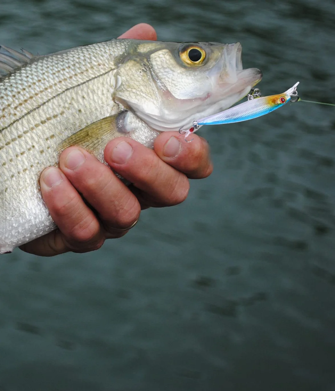 DEZ 4 PCS Señuelos de Pesca Spinning Mar Jigs Anzuelo para Pescado