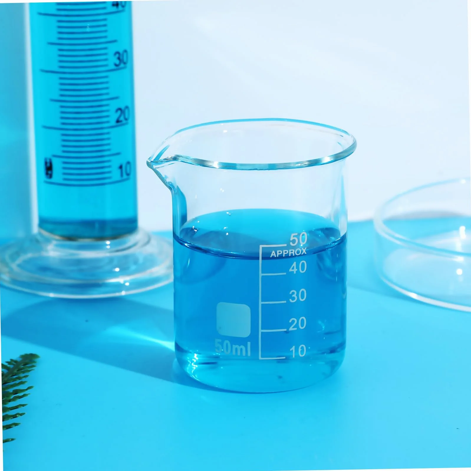 Alipis Vaso Medidor de Laboratorio 50ml Vidrio Transparente 20 Piezas | Forma Baja Escala, Uso Versátil, Limpieza Fácil, Estilo Simple y Elegante