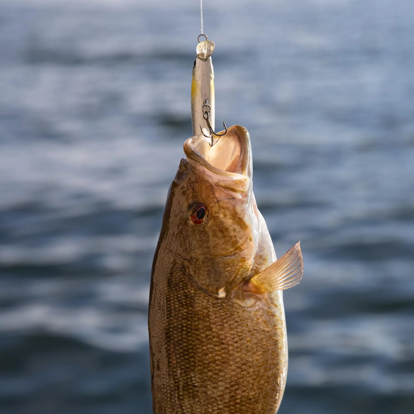 PATIKIL Anzuelos Triples de Pesca 8#, Acero de Alto Carbono, 10 Unidades, Negro