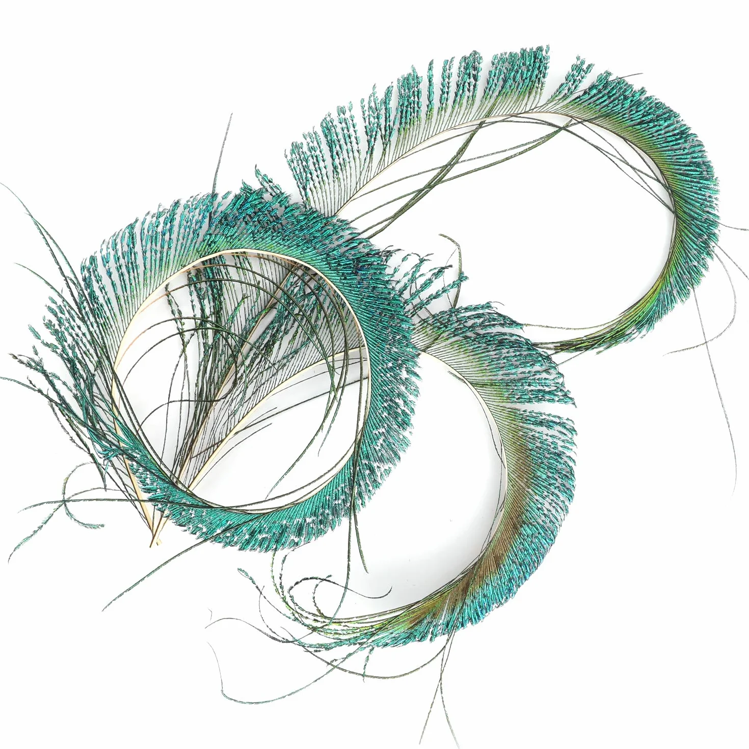 Mwoot 30pcs Natural Pavo Real Plumas de espada, Plumas de Pavo Real para la decoración del hogar DIY Jewelry Party Arte (25-35CM)