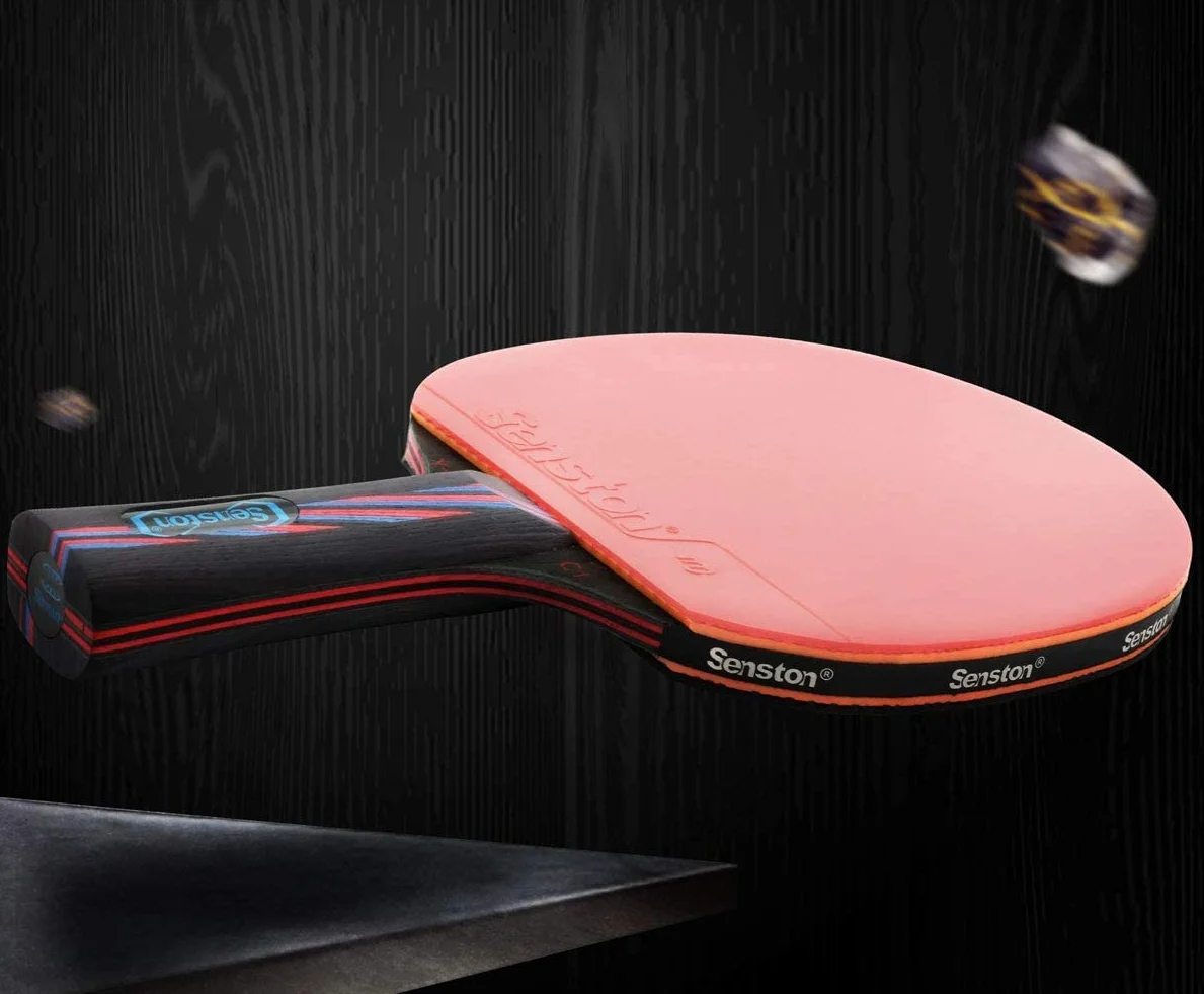 Palas de Tenis de Mesa Juego de 2 Palas de Ping Pong con Estuche de Transporte