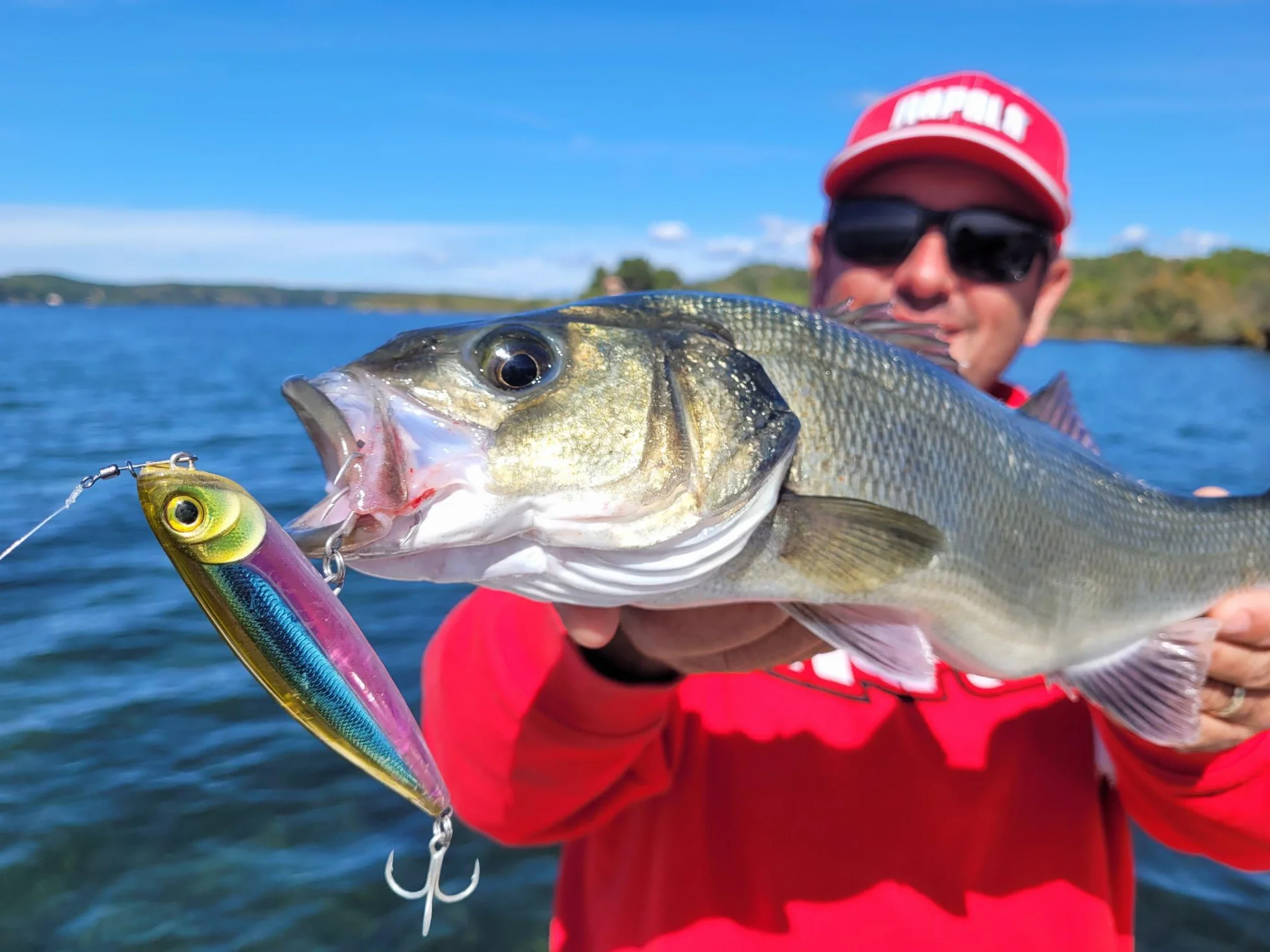Rapala Precision Xtreme Pencil Lure 10.7 cm 21 g Flotante Superficial Agua Salada
