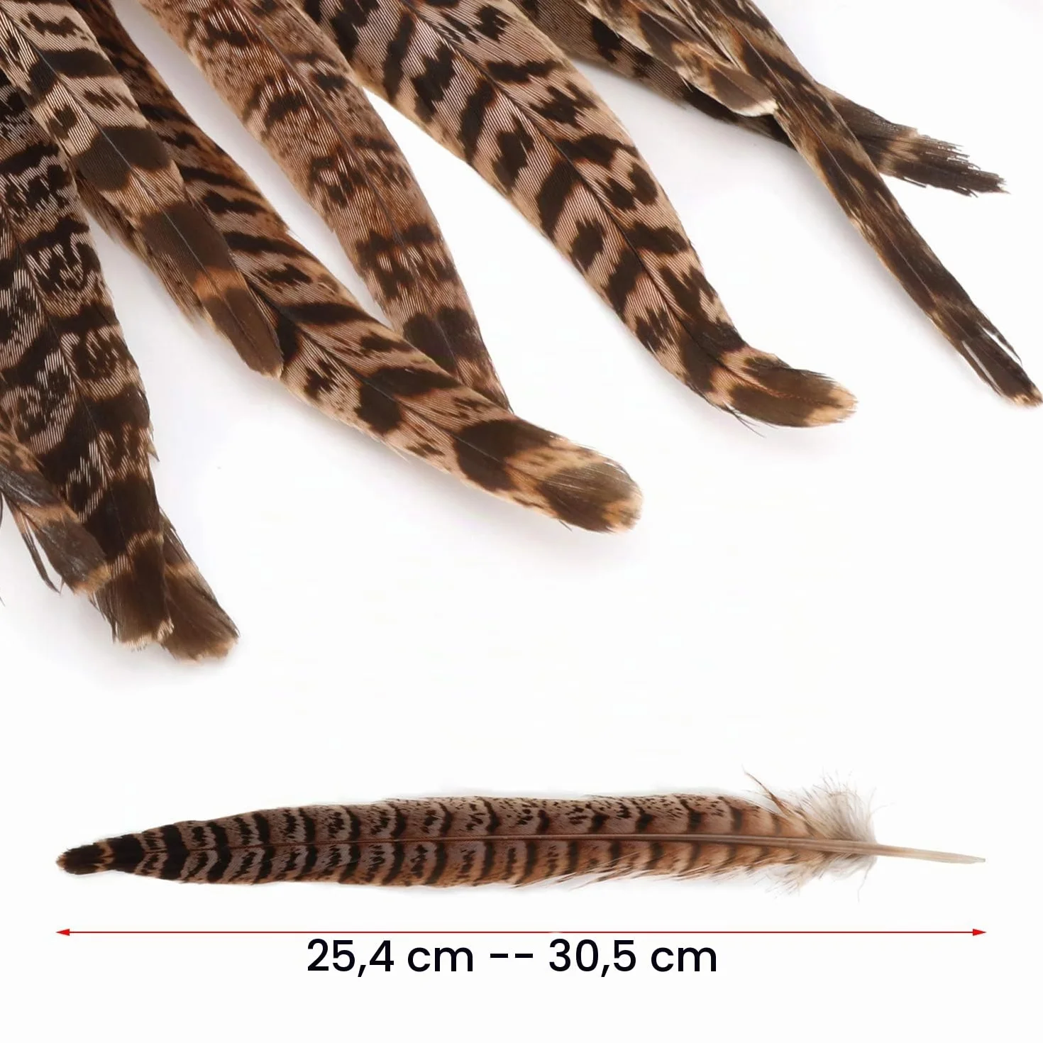 MWOOT plumas de cola de faisán naturales 20pcs 25-30cm decoración ara boda, fiestas de cumpleaños