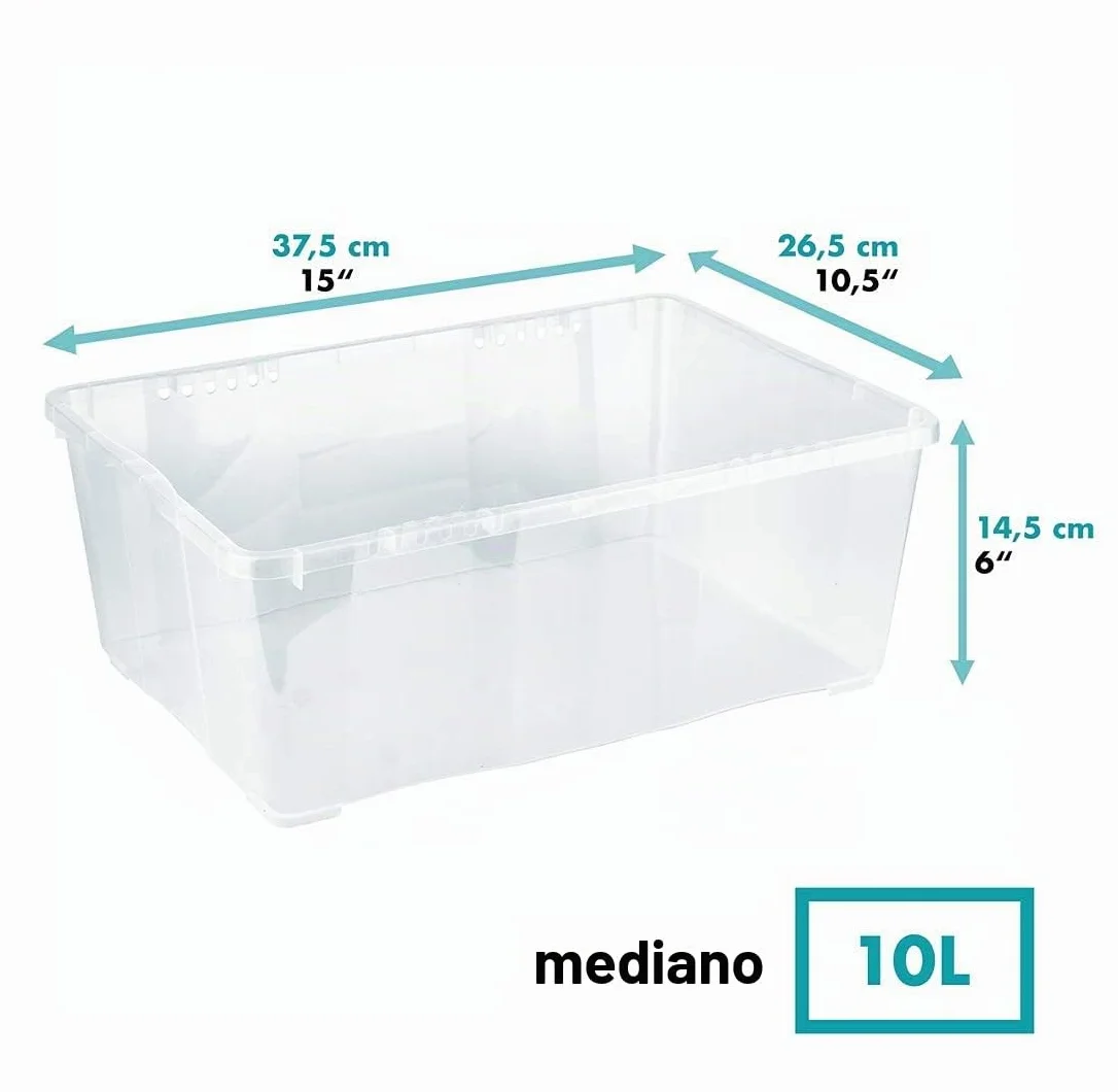 Grizzly 3 x Caja de Almacenaje con Tapa de 10 L - Cajón de Plástico Transparente Apilable - Caja Multiusos Organizador de Armarios para Ordenación de Ropa