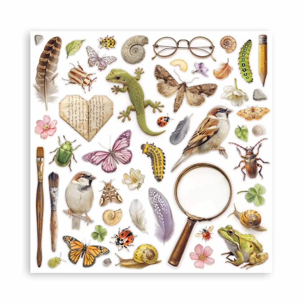 Stamperia - Scrapbook Paper Pad for Scrapbooks, Albums, Cards, Bullet Journals and More, Acid Free, Double-Sided, Perfect for Hobbies, Crafts, and Gifting (All Around) (20.3 x 20.3cm)