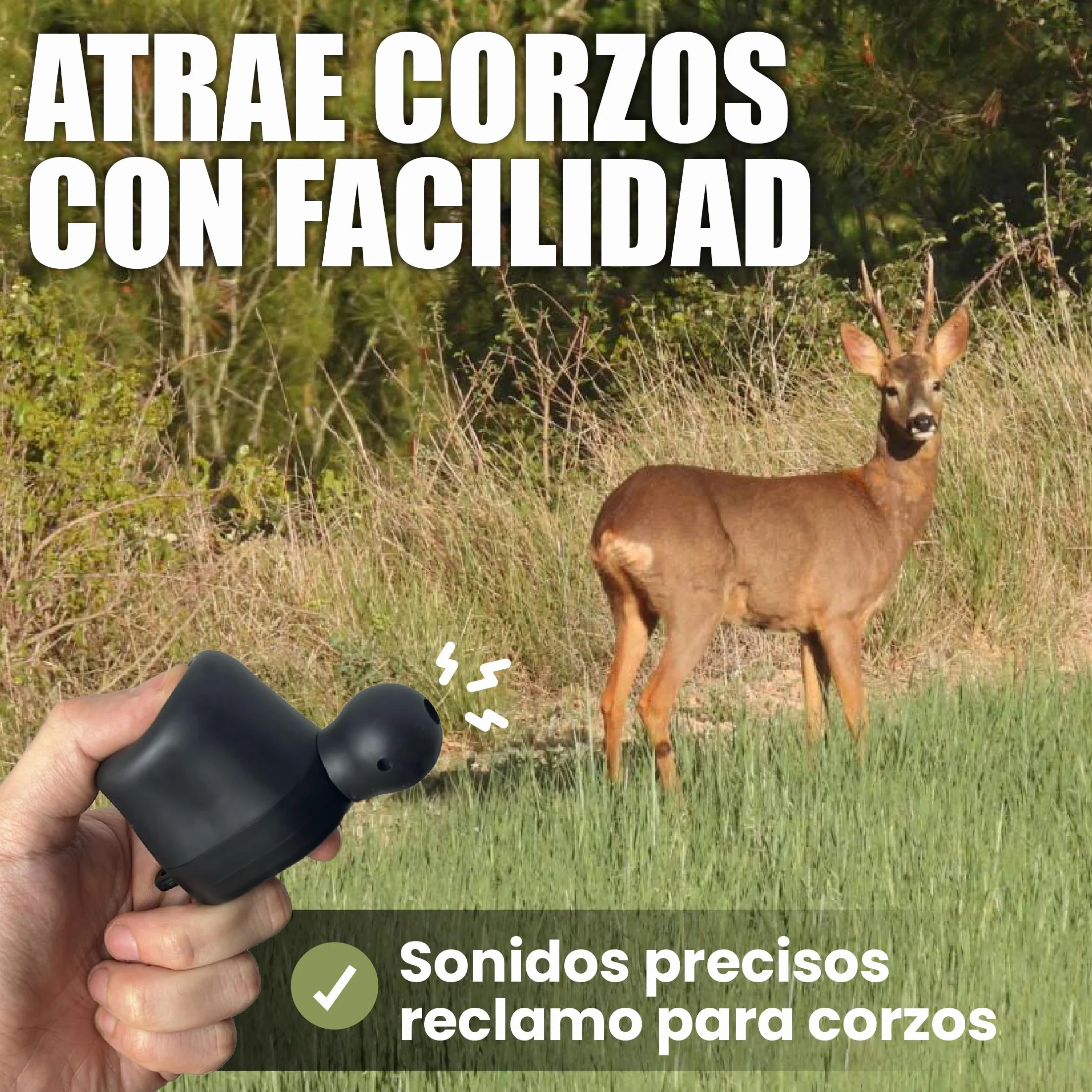 Buttolo Original para Corzo en Celo con Cuerda y Manual Instrucciones