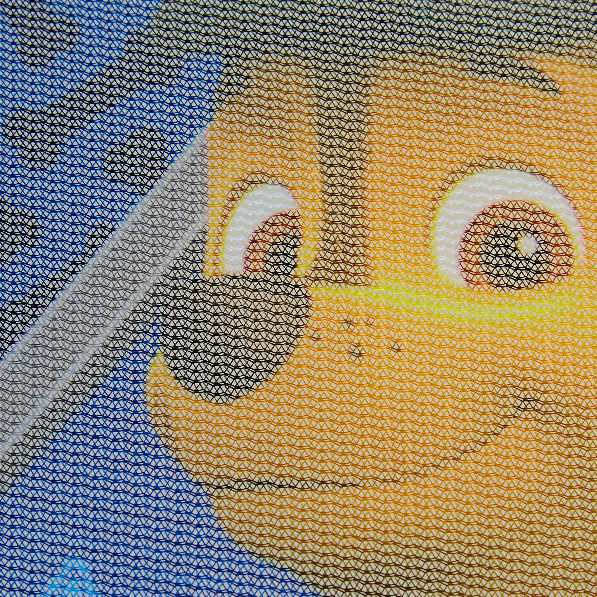La Patrulla Canina LPC112 Cortinillas Coche para Niño
