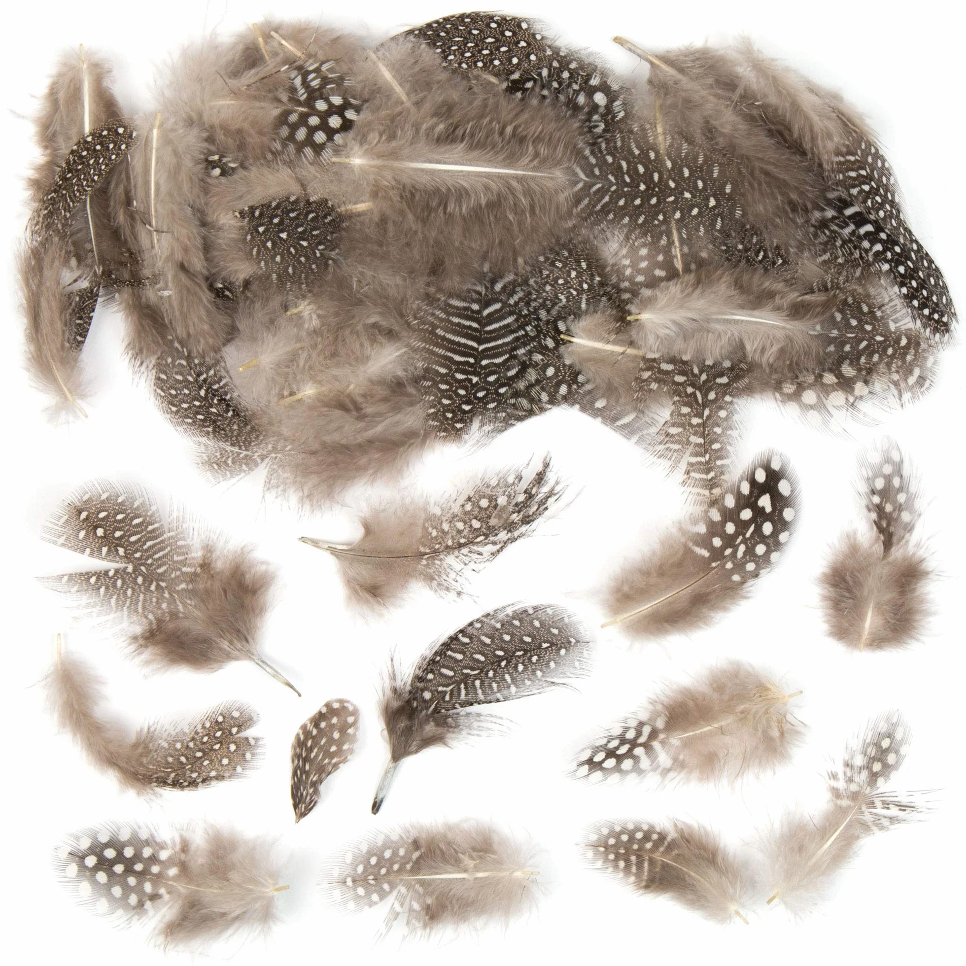 Baker Ross AC676 Plumas Naturales Moteadas para Decorar Arte y Manualidades de Adultos y Niños, Multicolor, Pack de 120