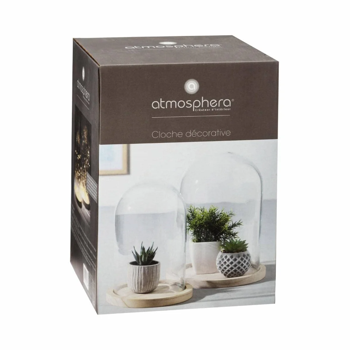 Atmosphera Campana de Vidrio y Madera Transparente H26 cm