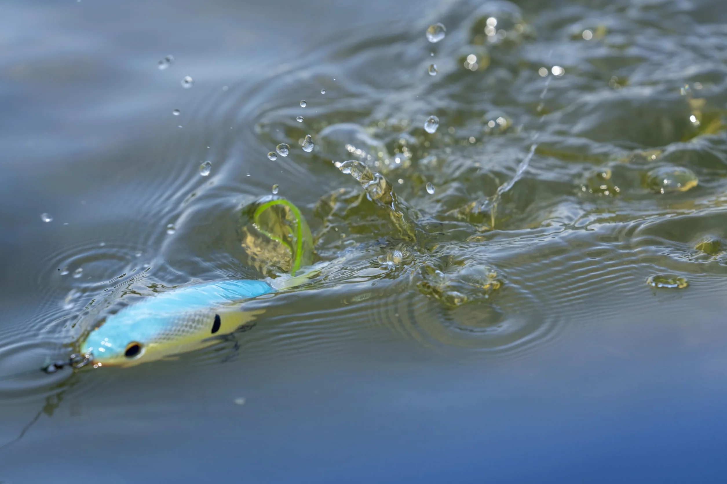 Berkley Choppo Hard Lure, Hueso