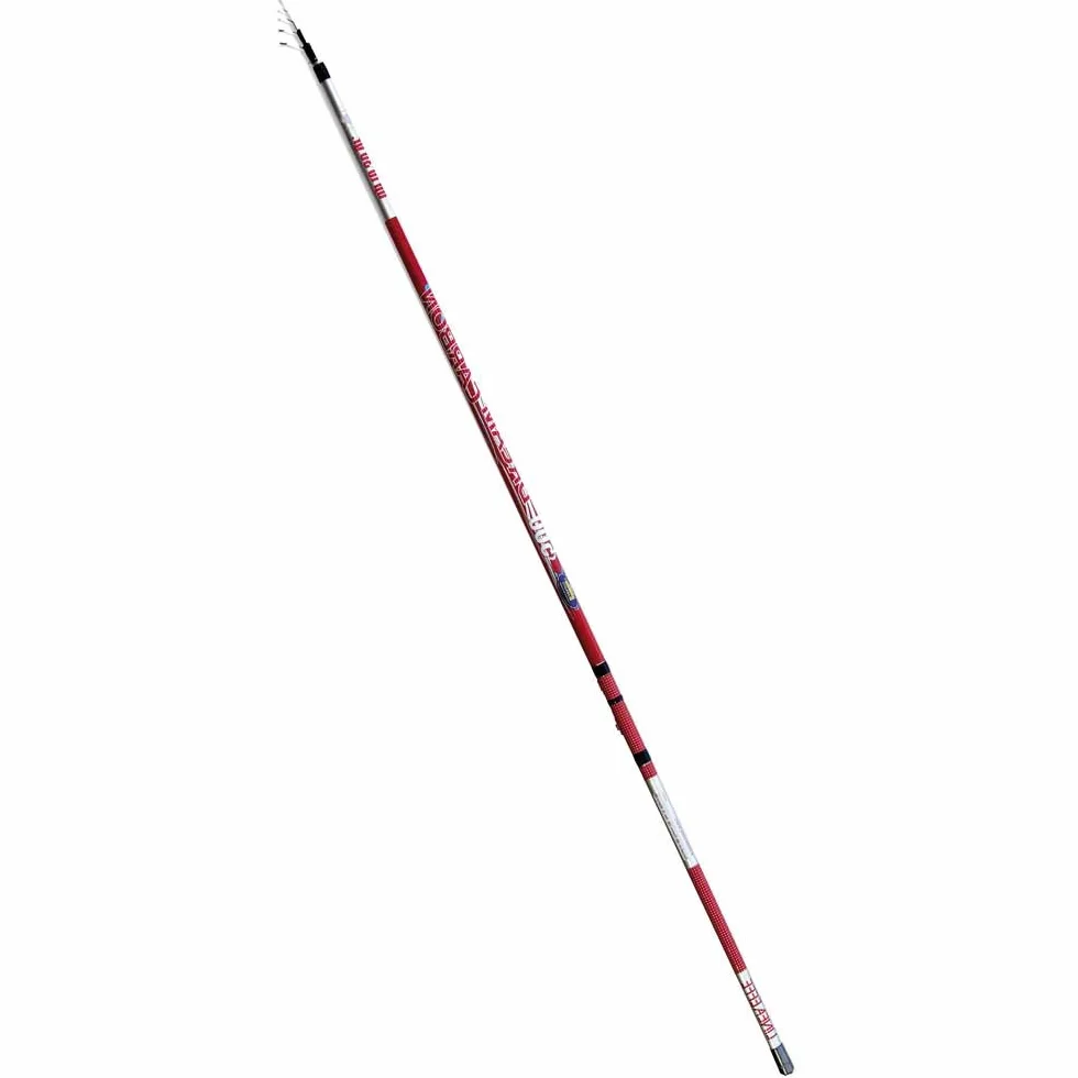 Lineaeffe Dream Carbon Bolo 8 m 30 g Caña Boloñesa Telescópica