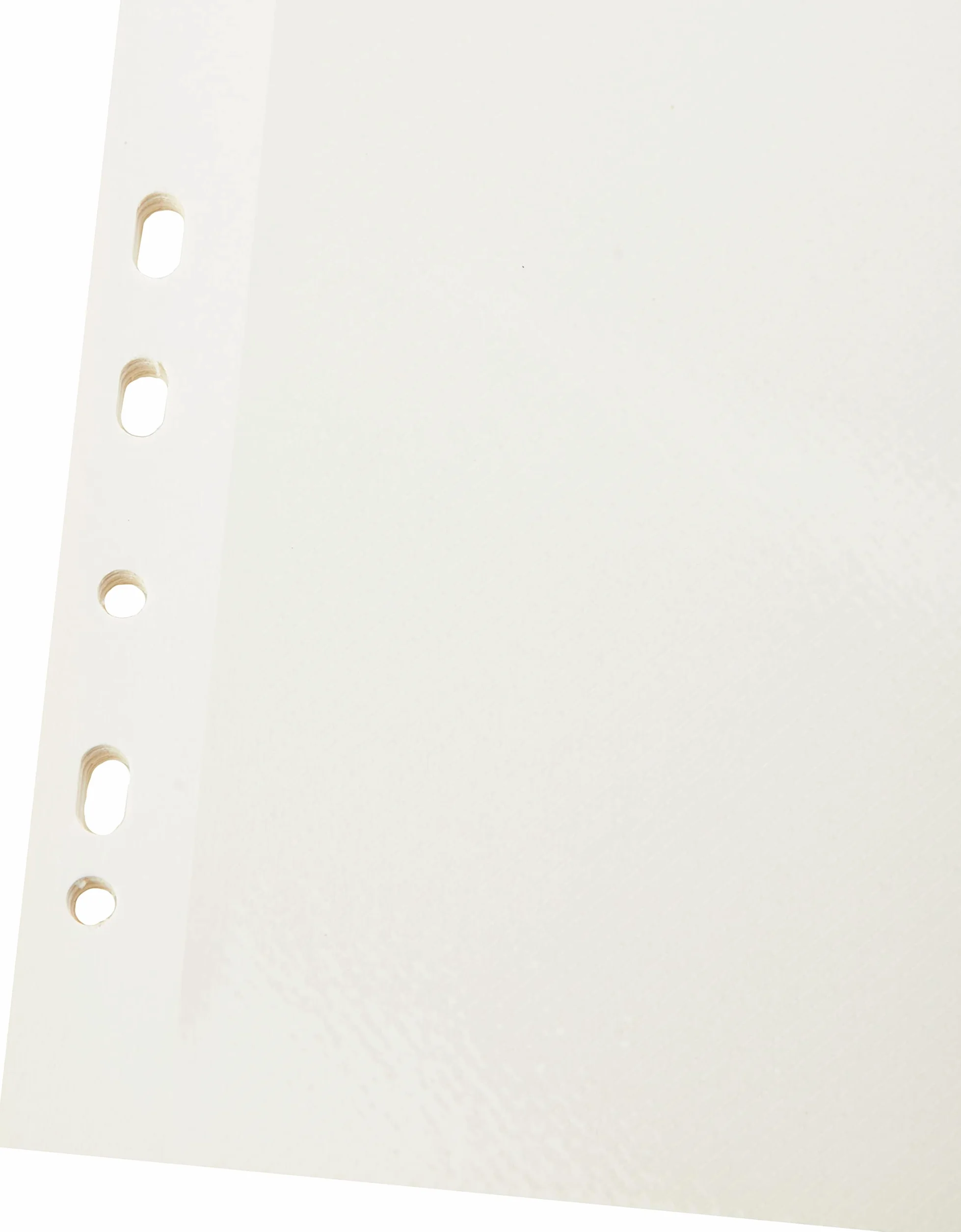 walther design Hojas suplementarias blanco 23,5 x 31,5 cm 10 hojas autoadhesivas DS-118