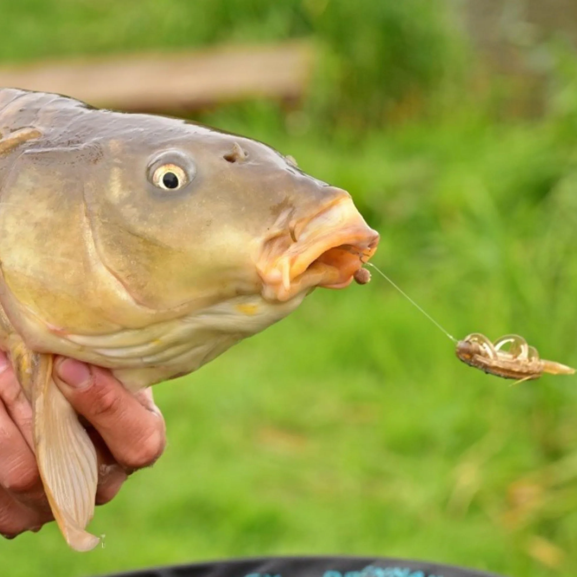 Anzuelos de Pesca Montados Tamaño 8 Cuerda Trenzada 10cm 0,12mm Carpfishing Method Feeder