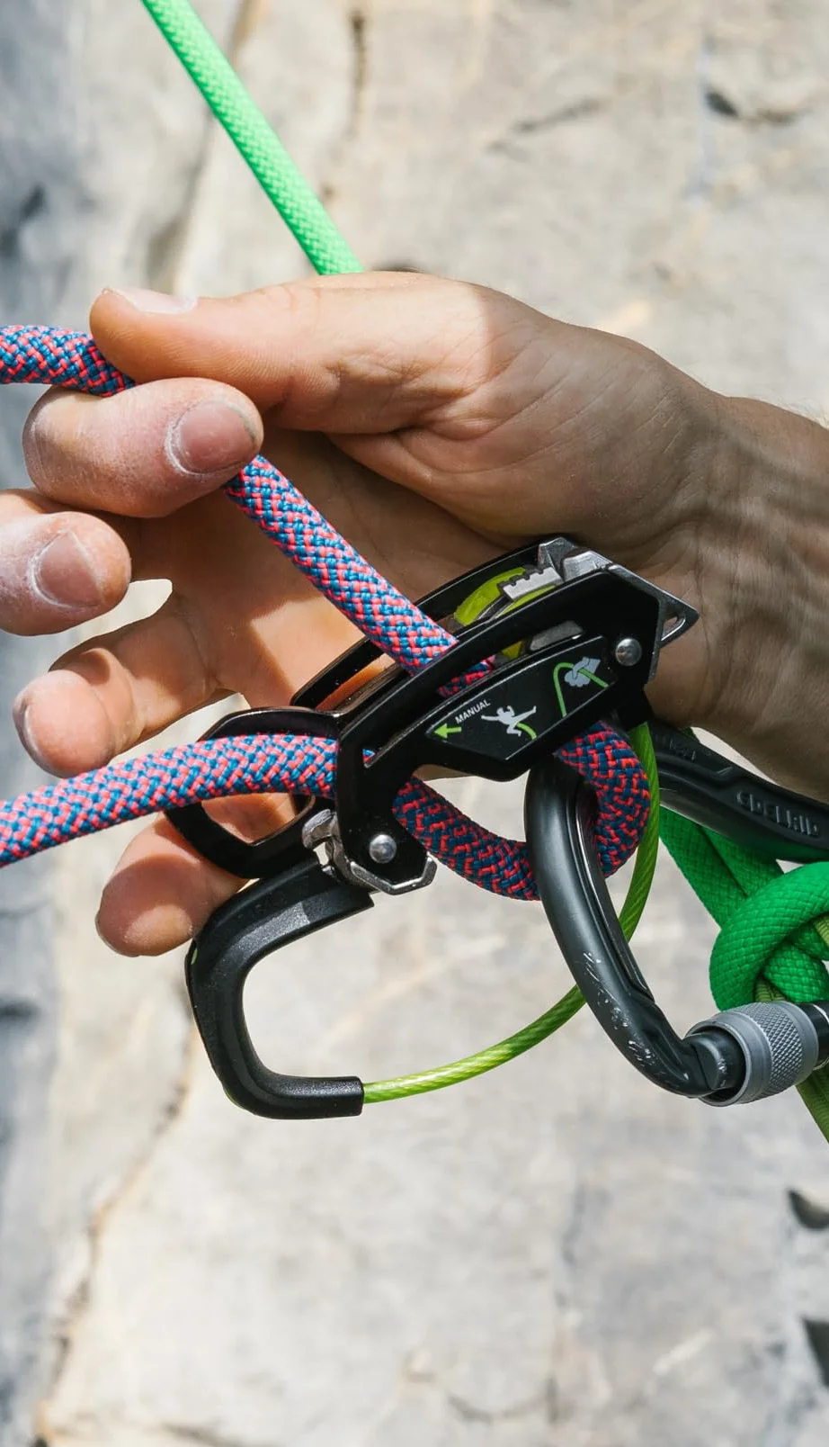 EDELRID Giga Jul Asegurador para Cuerda 7,1-10,0 mm Pizarra