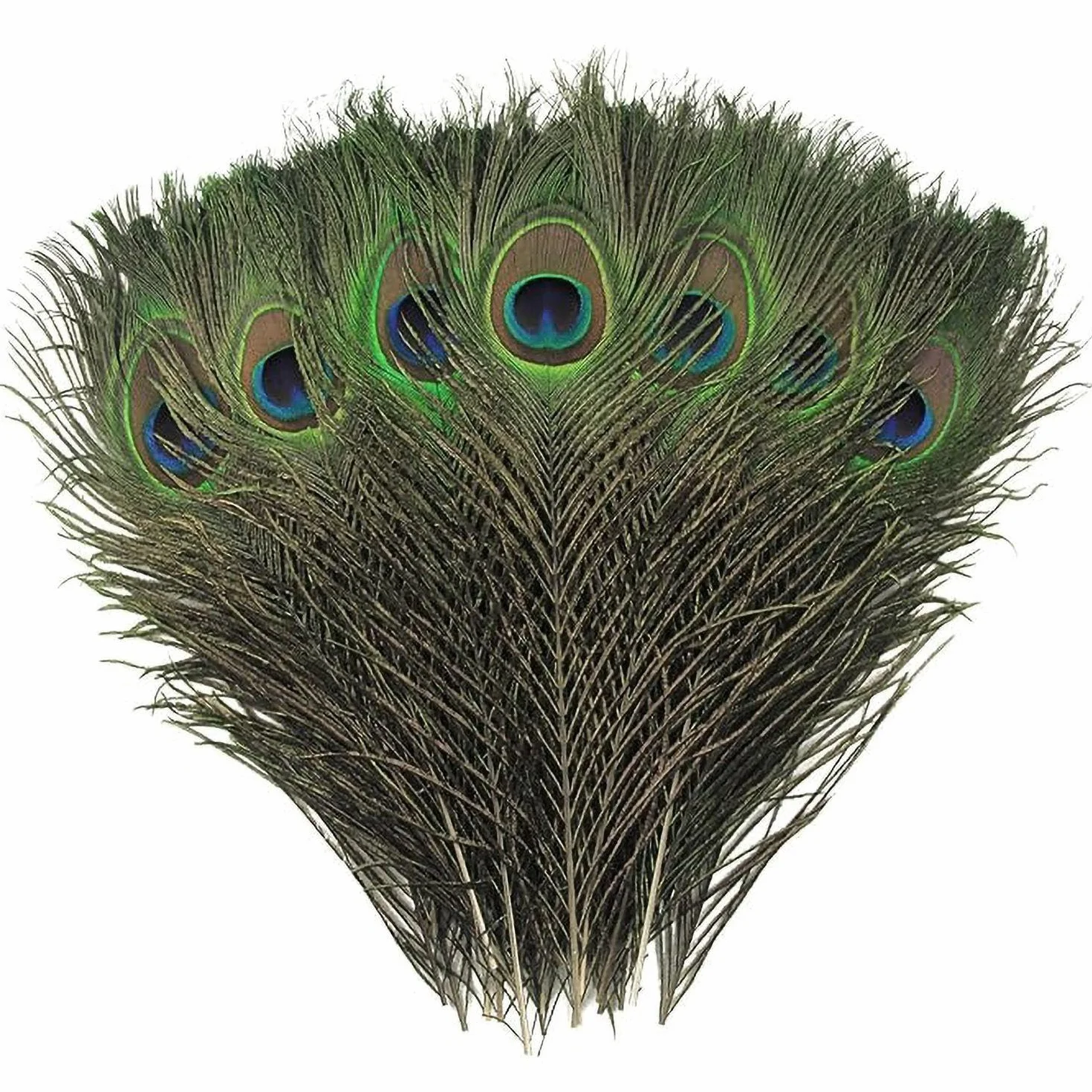 YSJCHEBS 25 Uds Plumas De Pavo Real Decoración del Hogar Materiales Artesanales DIY Decoraciones De Plumas Decoraciones Creativas
