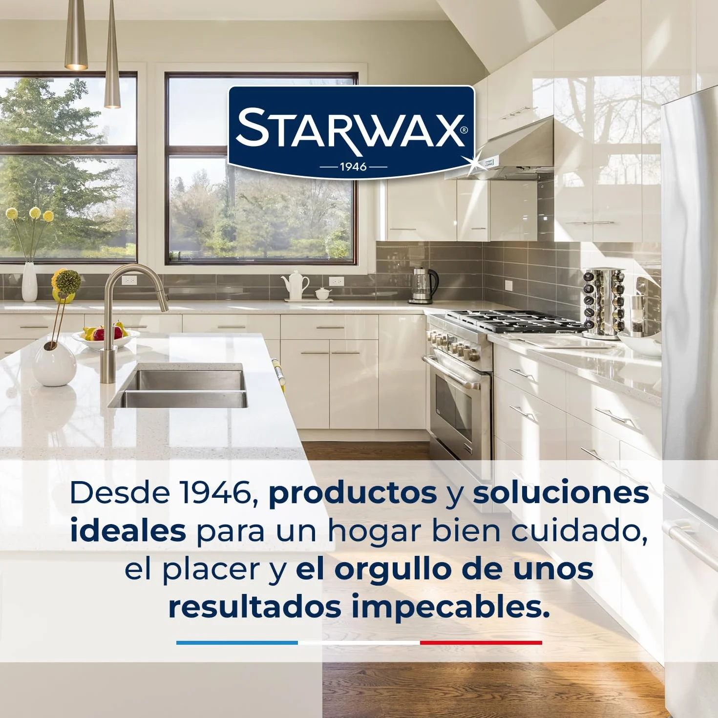 STARWAX - Descalcificador Electrodomésticos - Eficaz incluso en superficies muy incrustadas - Acción rápida - Eficaz en frío - 100% de origen natural - Listo para usar - 1L