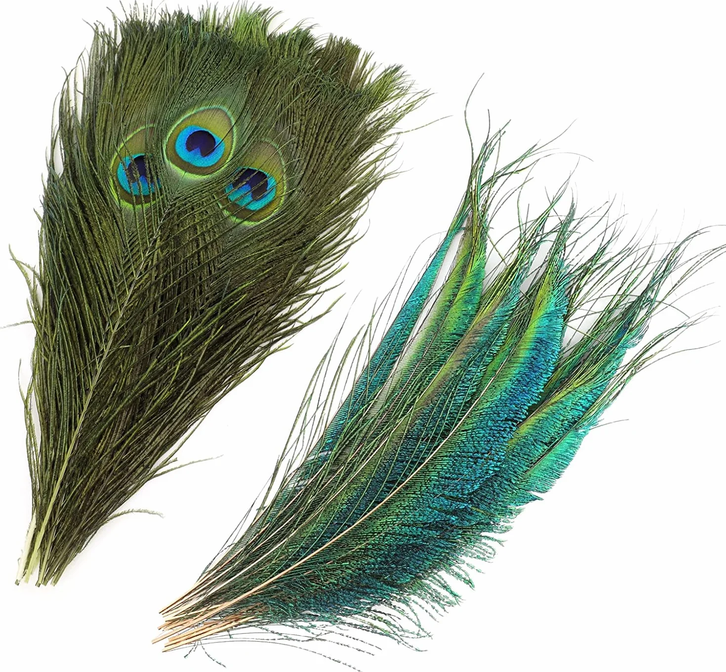 MWOOT 40 plumas decorativas de pavo real, naturales, para manualidades, adornos de 20-25 cm, ideales para ceremonias y fiestas de temporada, accesorios de decoración