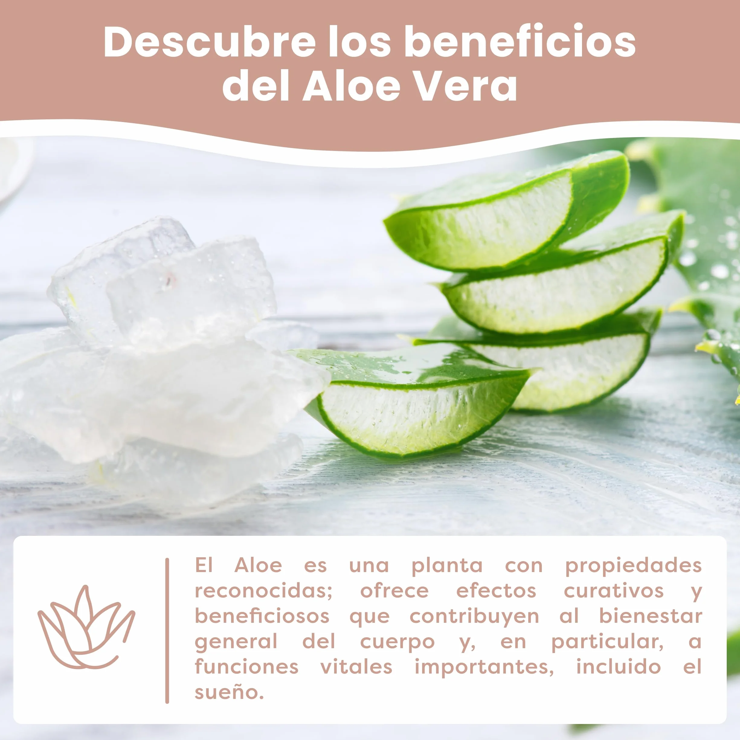 MIMUSELINA Almohada Bebe Viscoelástica Memory Foam 50x30x5,5 Transpirable Antisofocos Funda Aloe Vera Hipoalergénica