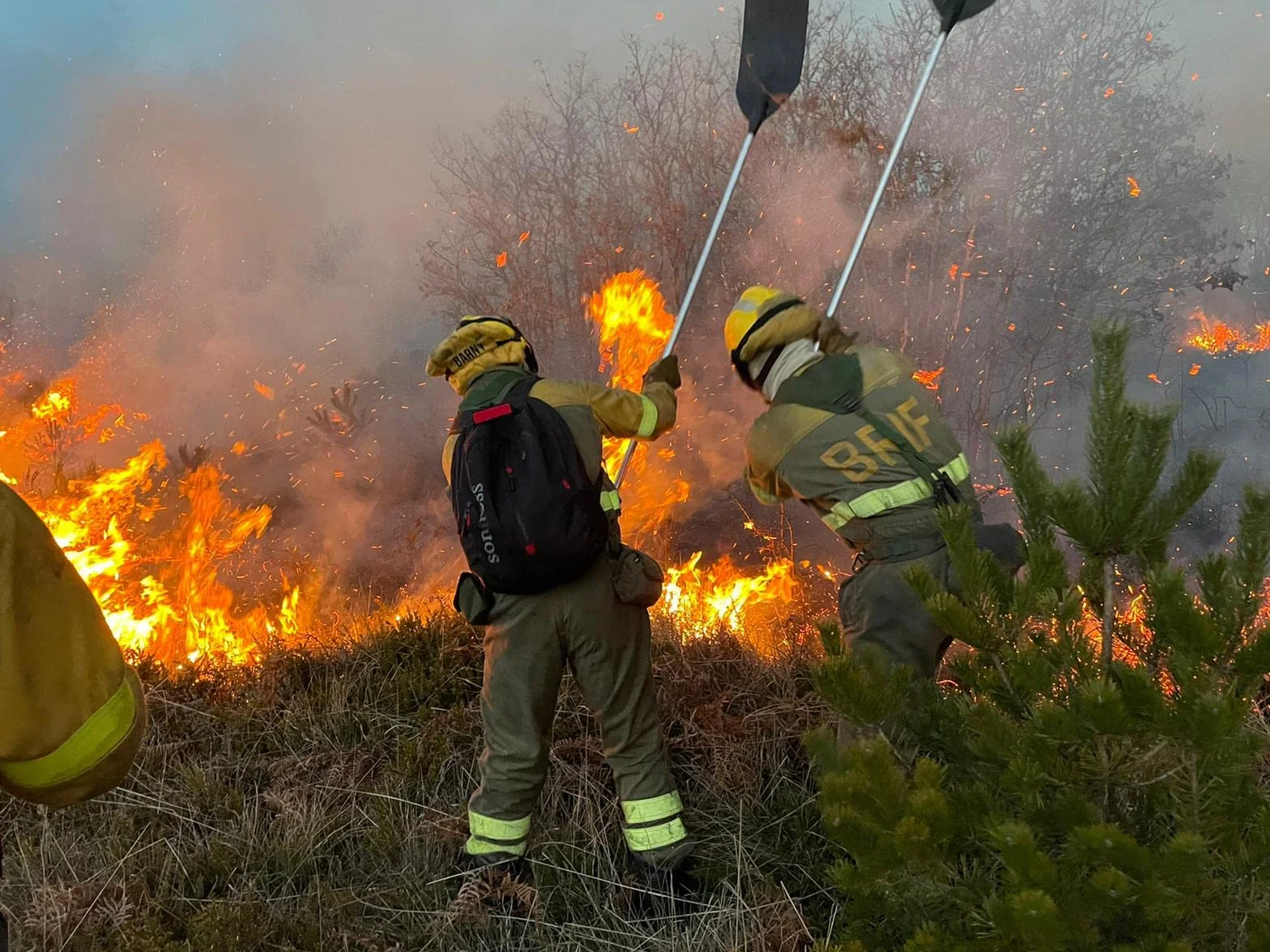 Batefuegos Forestales Reforzados 6 mm Caucho Sintético Mango Duroaluminio