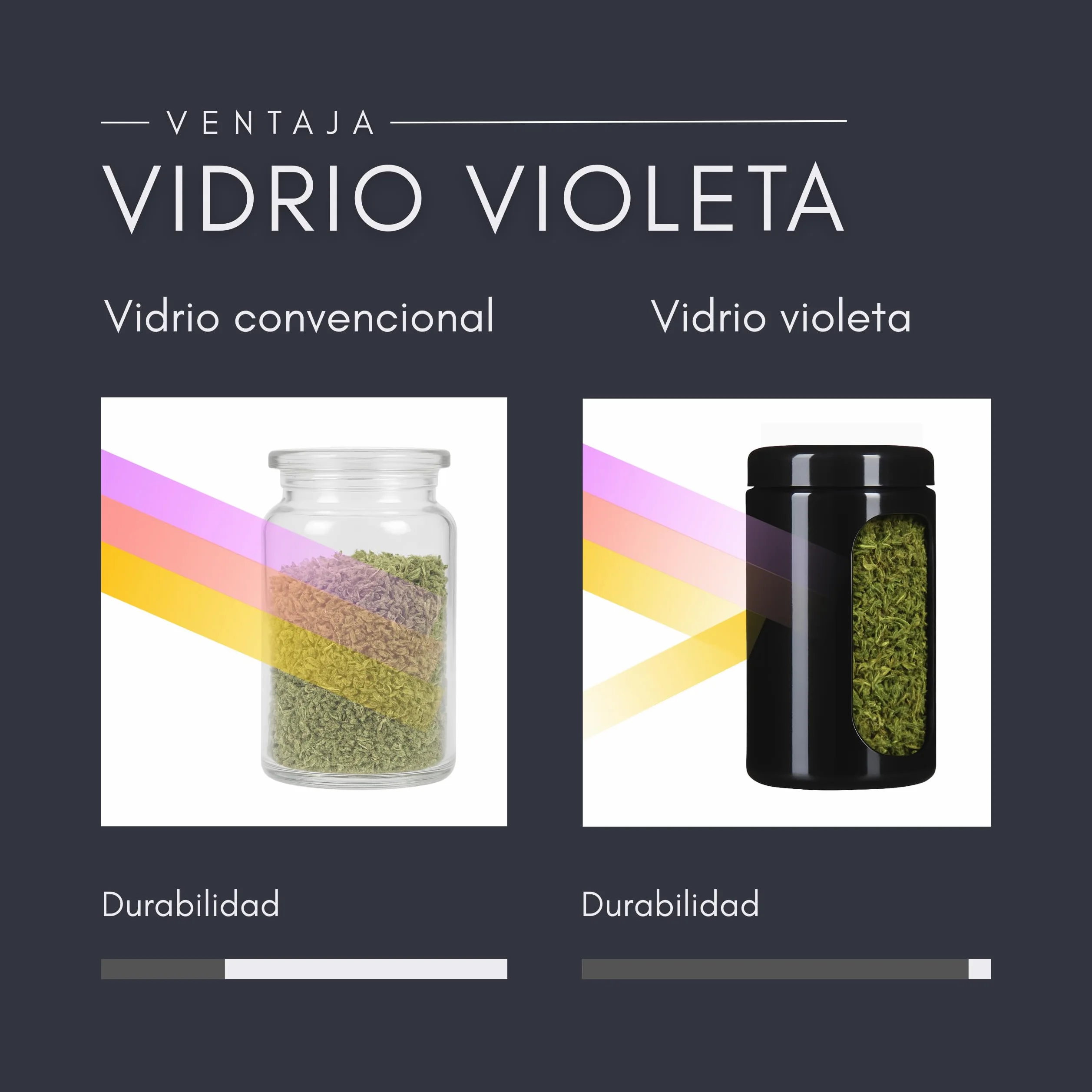 ANCEVIA Tarros de Cristal con Tapa 1000 ml – Set de 3 Botes Herméticos de Vidrio Violeta Miron para Cocina – Conservación Premium para Café, Harina, Arroz y Hierbas – Protección UV