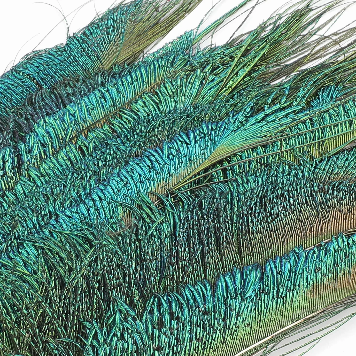 Mwoot 30pcs Natural Pavo Real Plumas de espada, Plumas de Pavo Real para la decoración del hogar DIY Jewelry Party Arte (25-35CM)