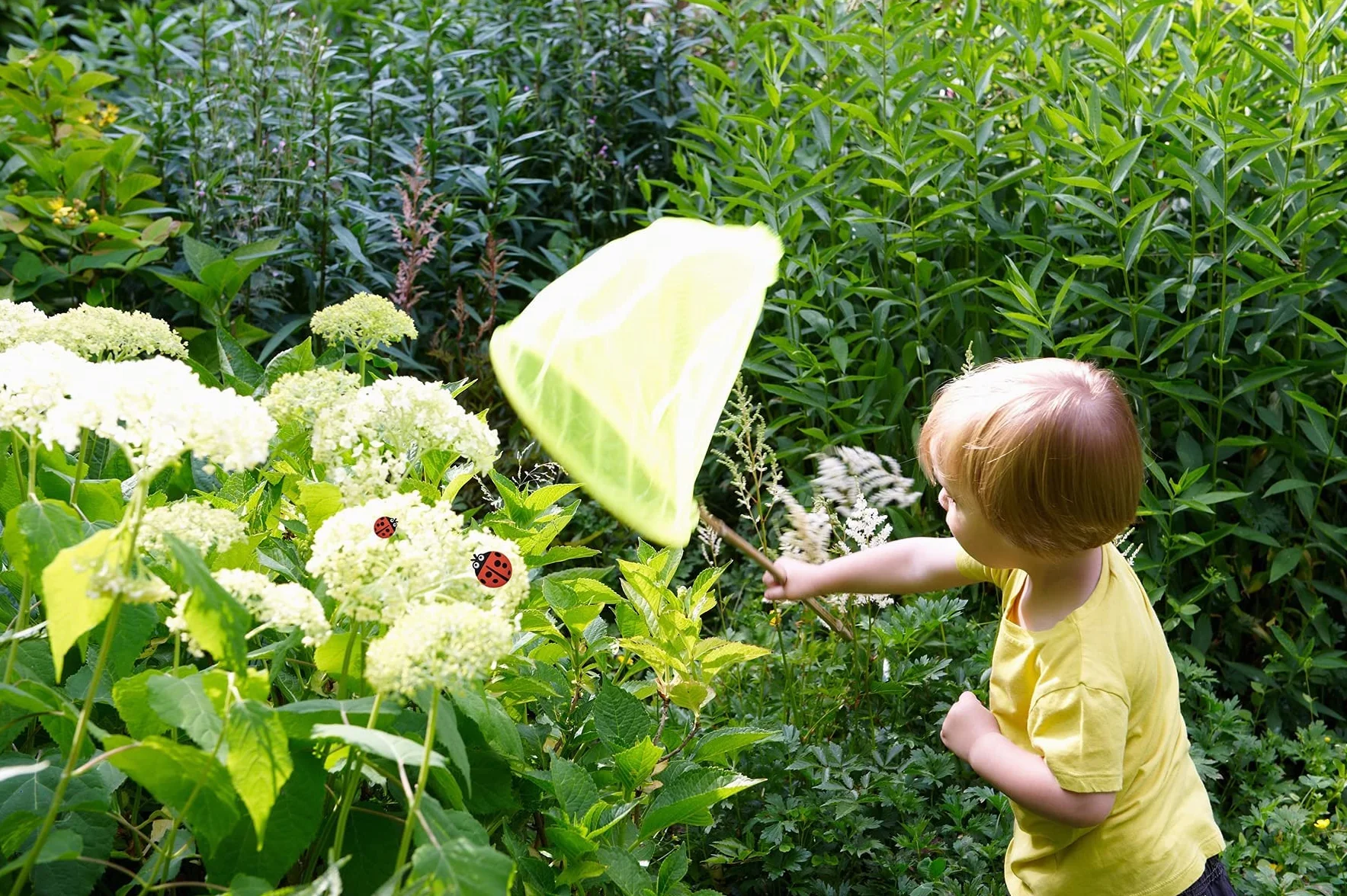 Juego de 6 pomos de goma suave para muebles de jardín de la serie de dibujos animados, para niños, niñas, jóvenes, armarios, cajones, juguetes, diseño de mariquita