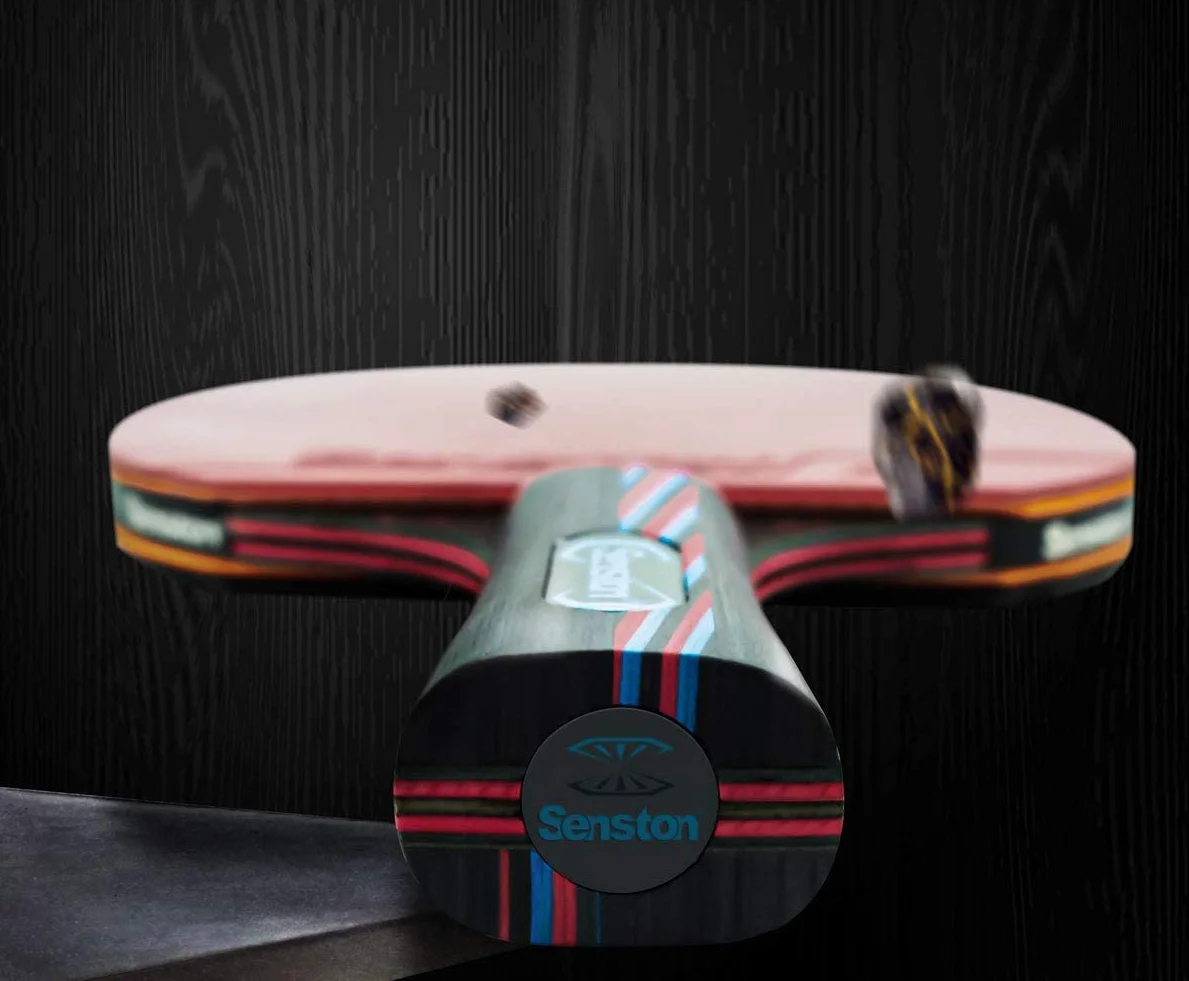 Palas de Tenis de Mesa Juego de 2 Palas de Ping Pong con Estuche de Transporte