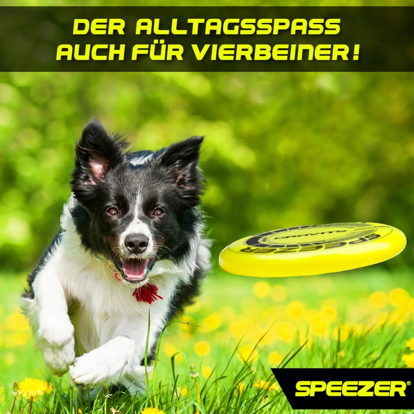 SPEEZER Frisbee Gravity 175 g amarillo neón disco de lanzamiento profesional