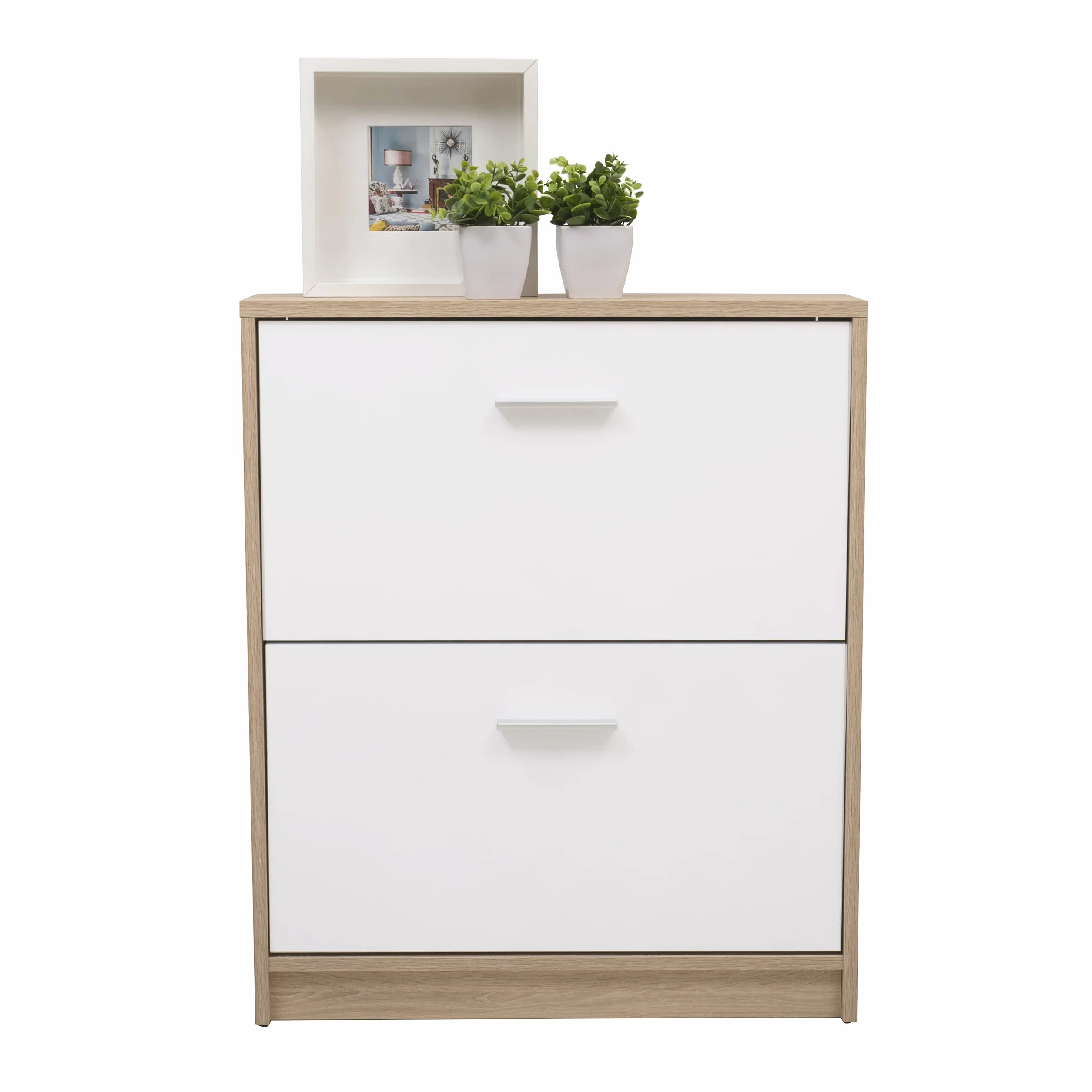 Homely - Mueble Zapatero KENTO | Diseño Moderno, Diseño Nórdico | Zapatero para Habitación, Hall, Dormitorio, Entrada | 2 Puertas abatibles | 69,5x17,5x84 cm | Color cambrián y Blanco