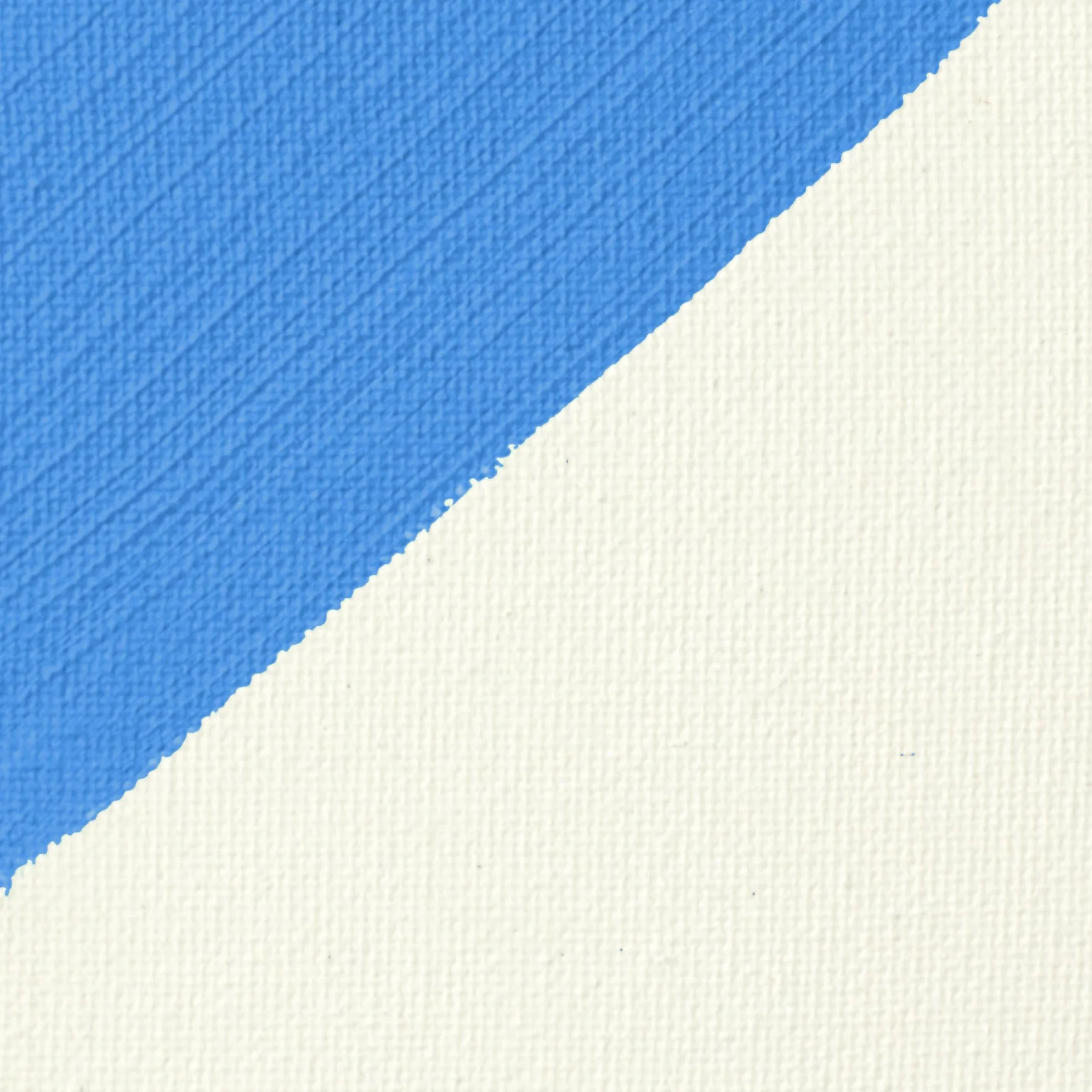 Liquitex Professional - Imprimación para superficies (3,79 l), transparente