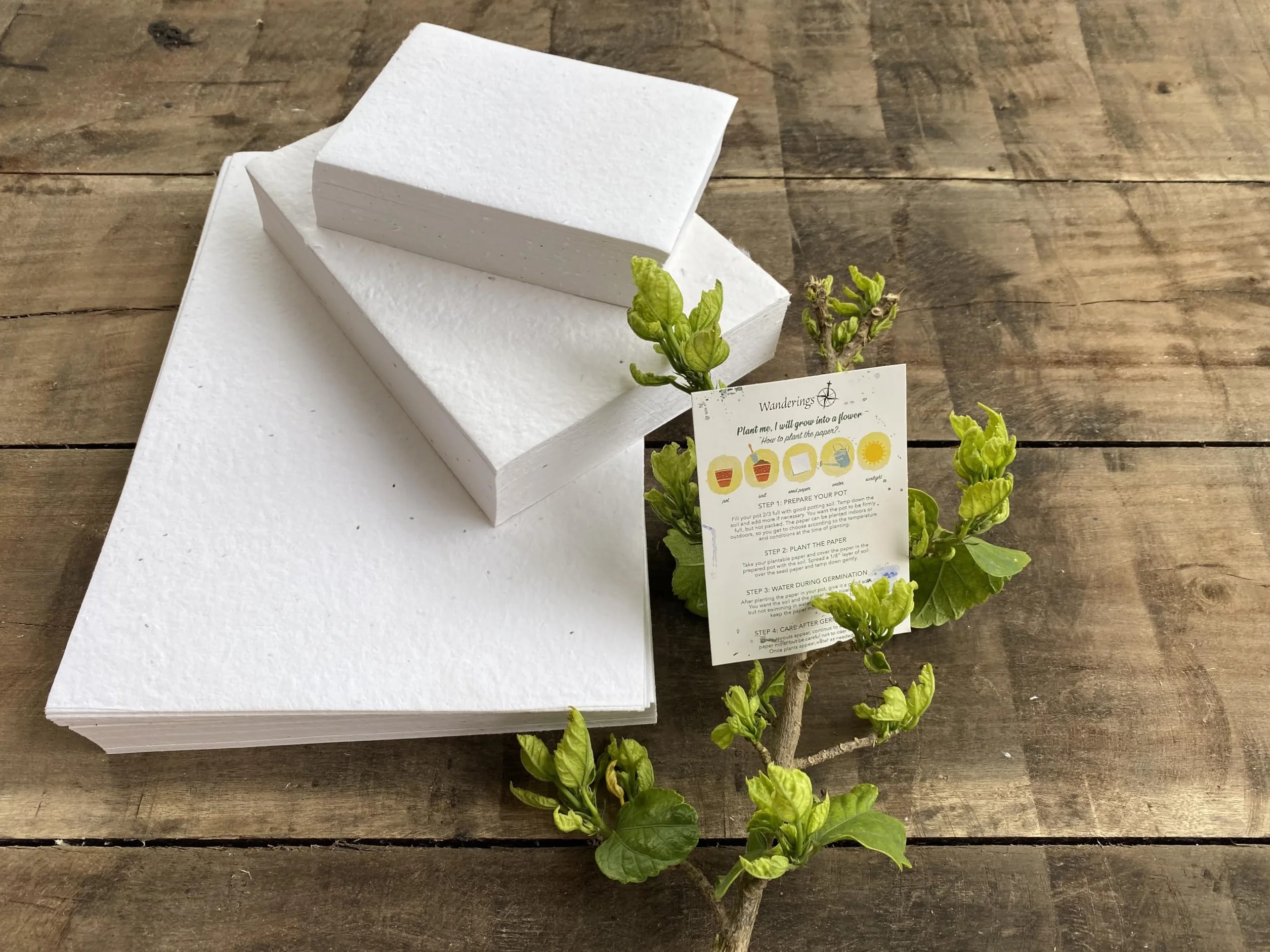 Wanderings Papel Reciclado A4, Hecho a Mano con Semillas de Flores - 21x30 cm - 250 GSM - Paquete de 50 Hojas de Papel Plantable con Semillas de Flores Silvestres para Invitaciones de Boda