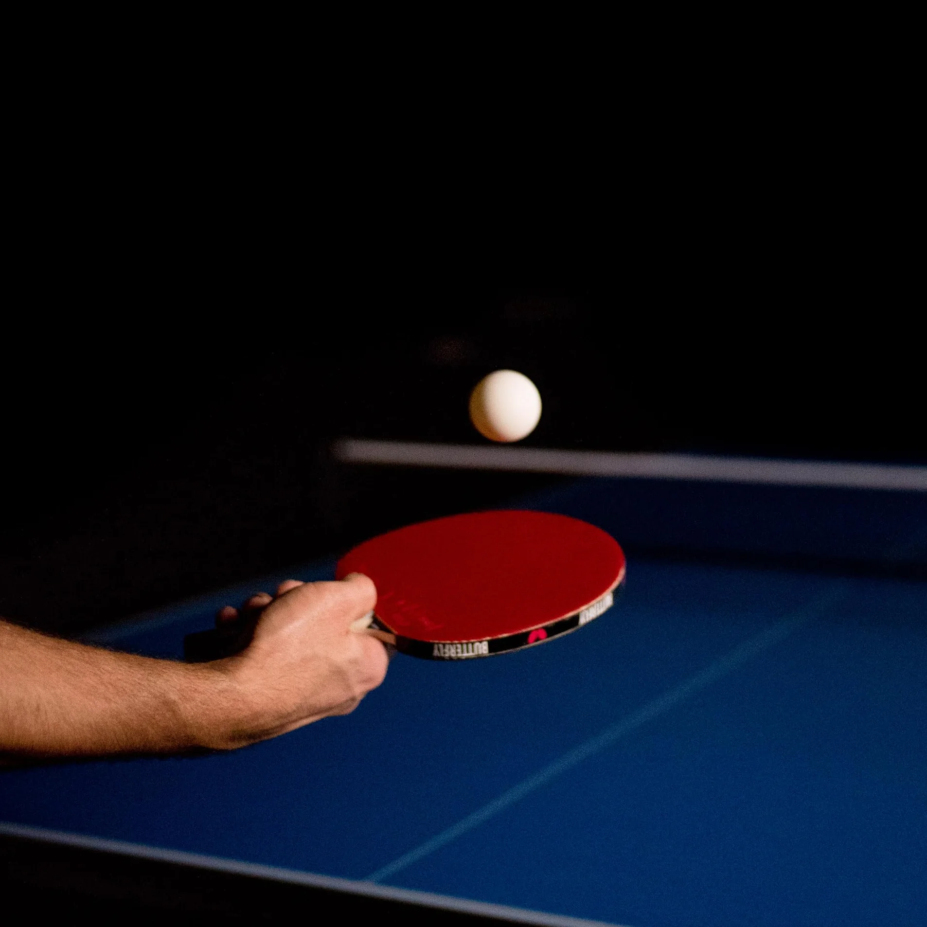 Butterfly Timo Boll Bate de Tenis de Mesa Plateado Adulto