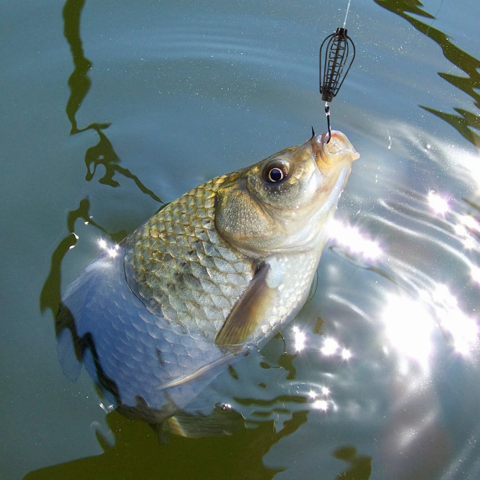 Comederos de Pesca de Carpas Acero Inoxidable 10 Piezas 15 g Cebo Hierro