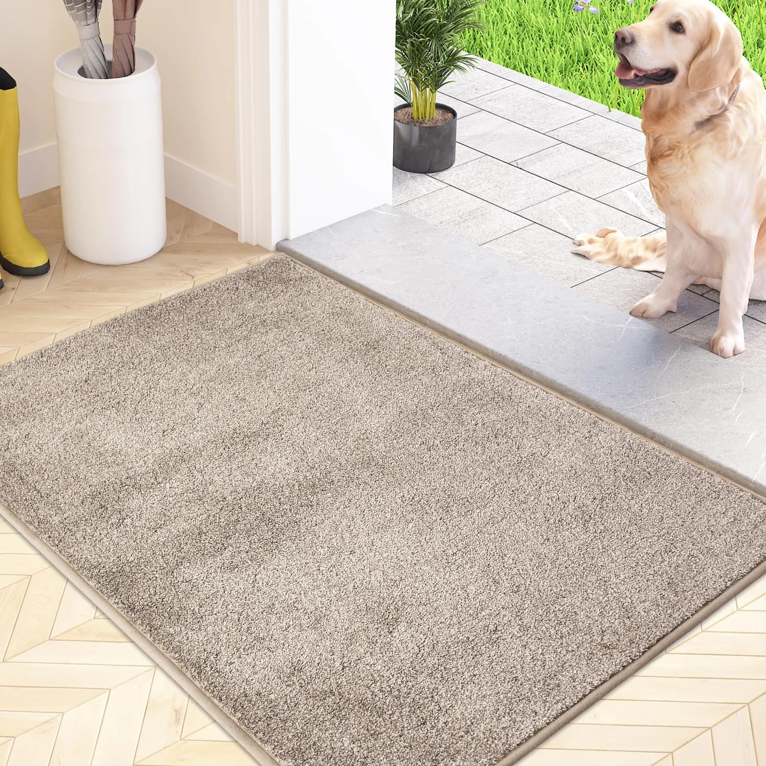 FCSDETAIL Alfombra Atrapapolvo, Alfombra Antideslizante Lavable en Lavadora, Felpudo de Entrada con Microfibras Suaves Absorbentes para Perro, Entrada, Puerta y Pasillo