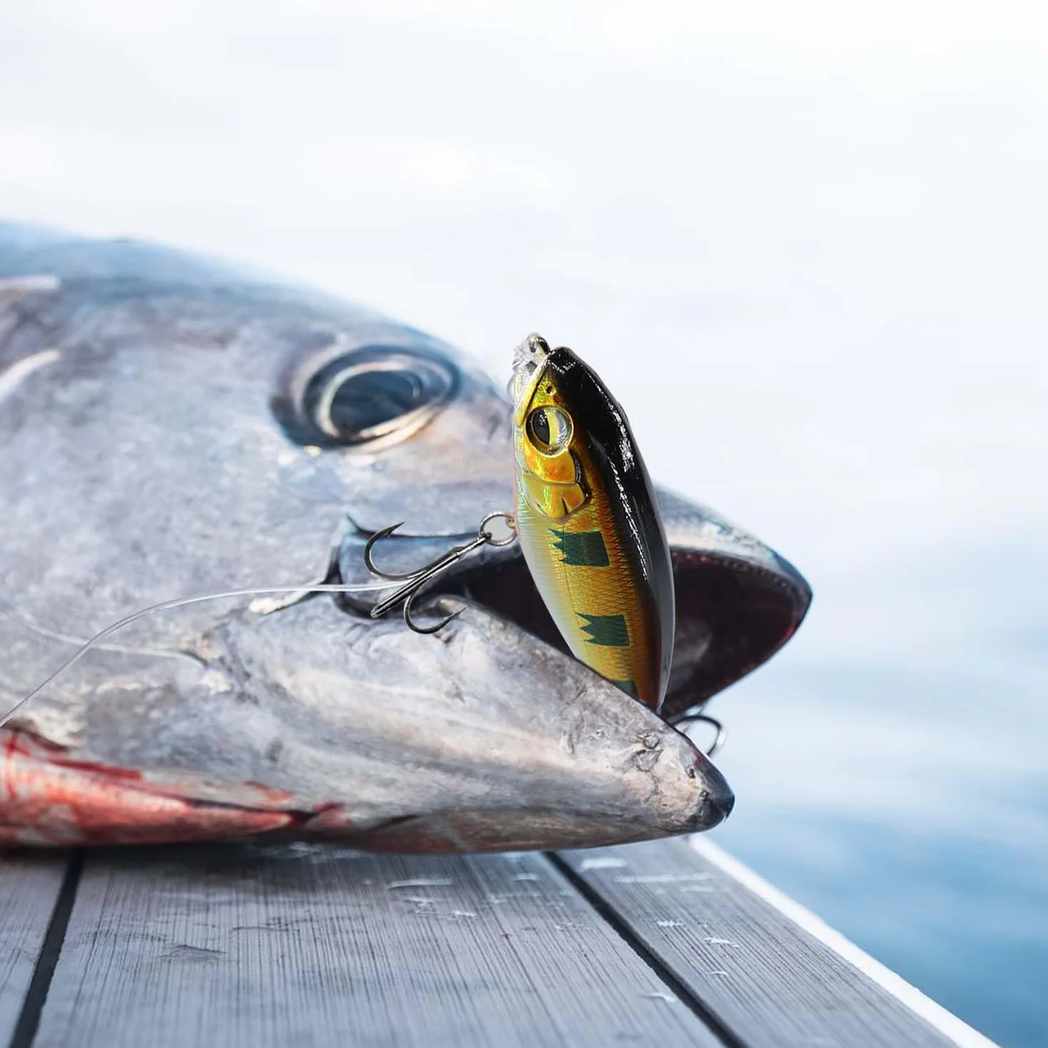 Whopper Plopper, Topwater Señuelos, Señuelo Flotante para Lubina con Cola de Hélice, para Agua Dulce o Salada.