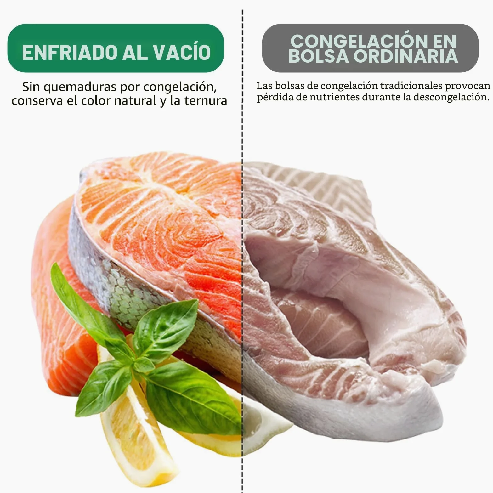 Envasadora al vacío 6 en 1 profesional para alimentos, con 50 bolsas de envasado al vacío y 1 manguera para recipiente al vacío, dispositivo de sellado automático de 75 Kpa con cortador y cuenta atrás