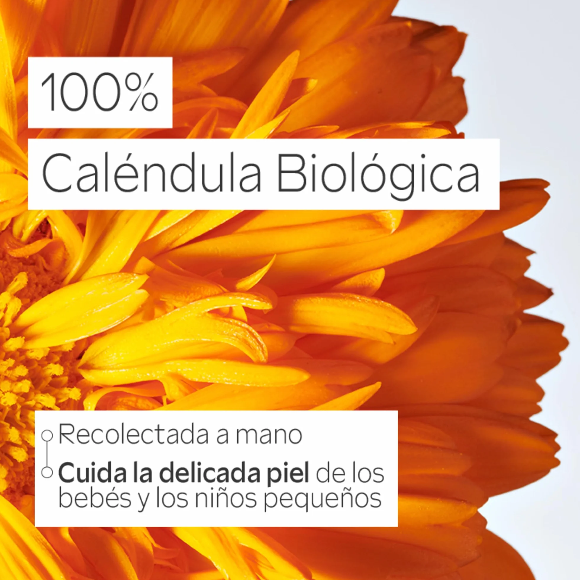 Weleda Crema Pañal de Caléndula 75 ml para Pieles Sensibles